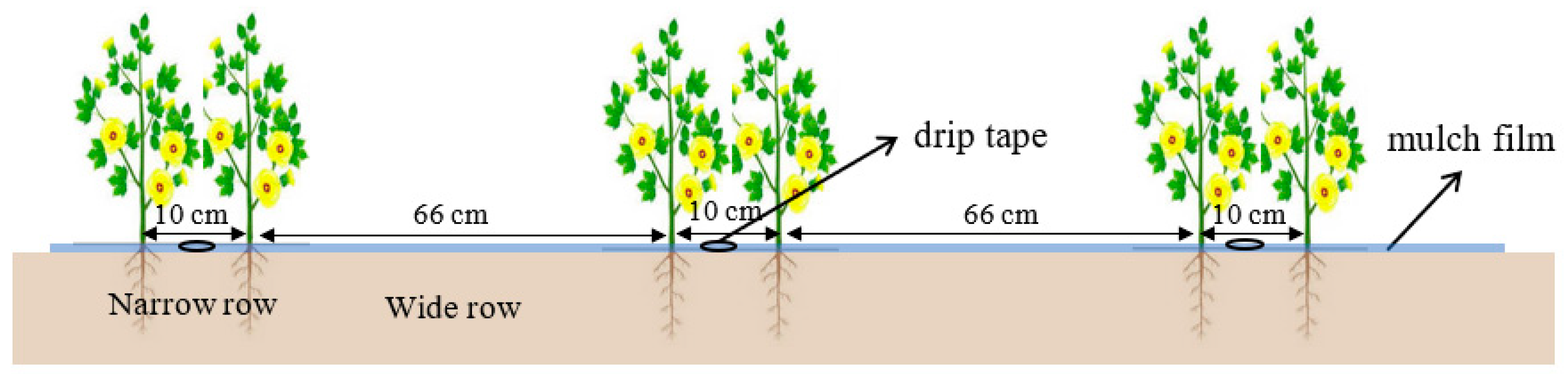 Agronomy 14 01671 g002