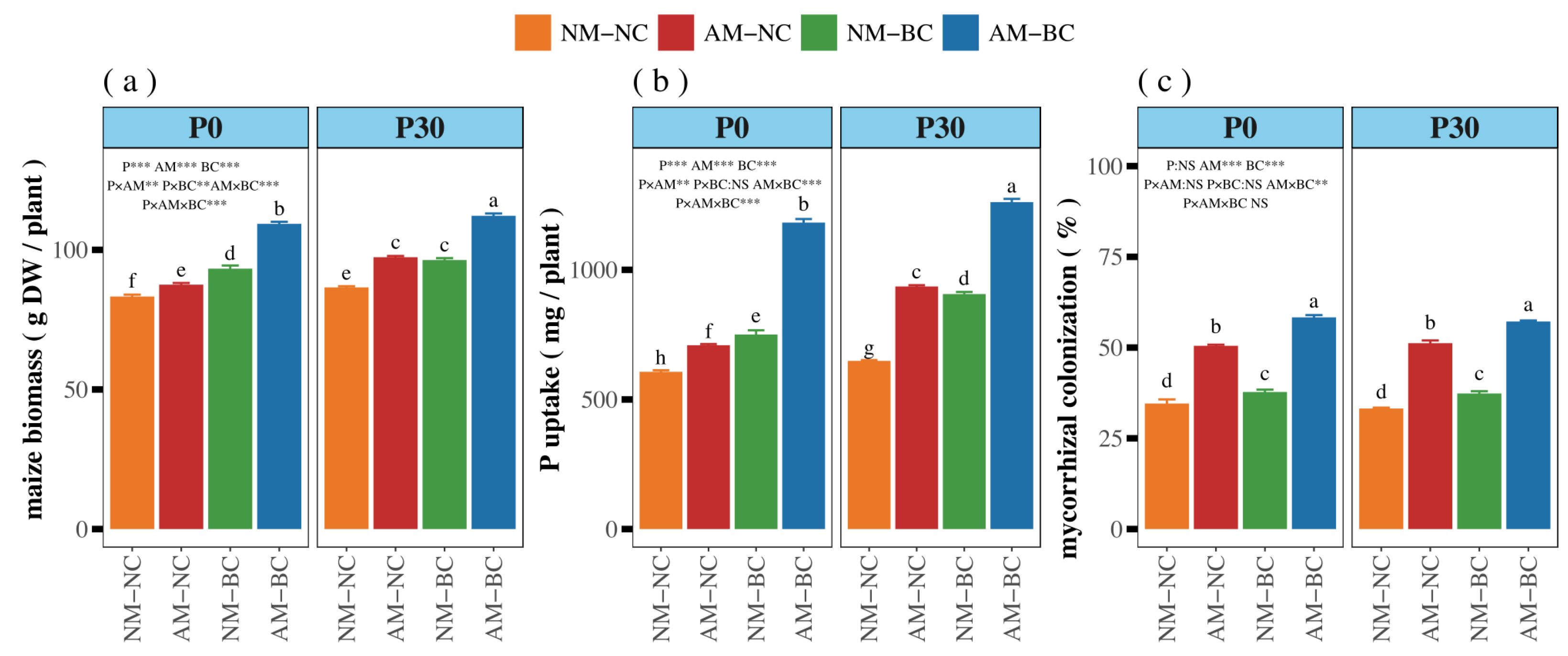 Agronomy 14 01678 g001
