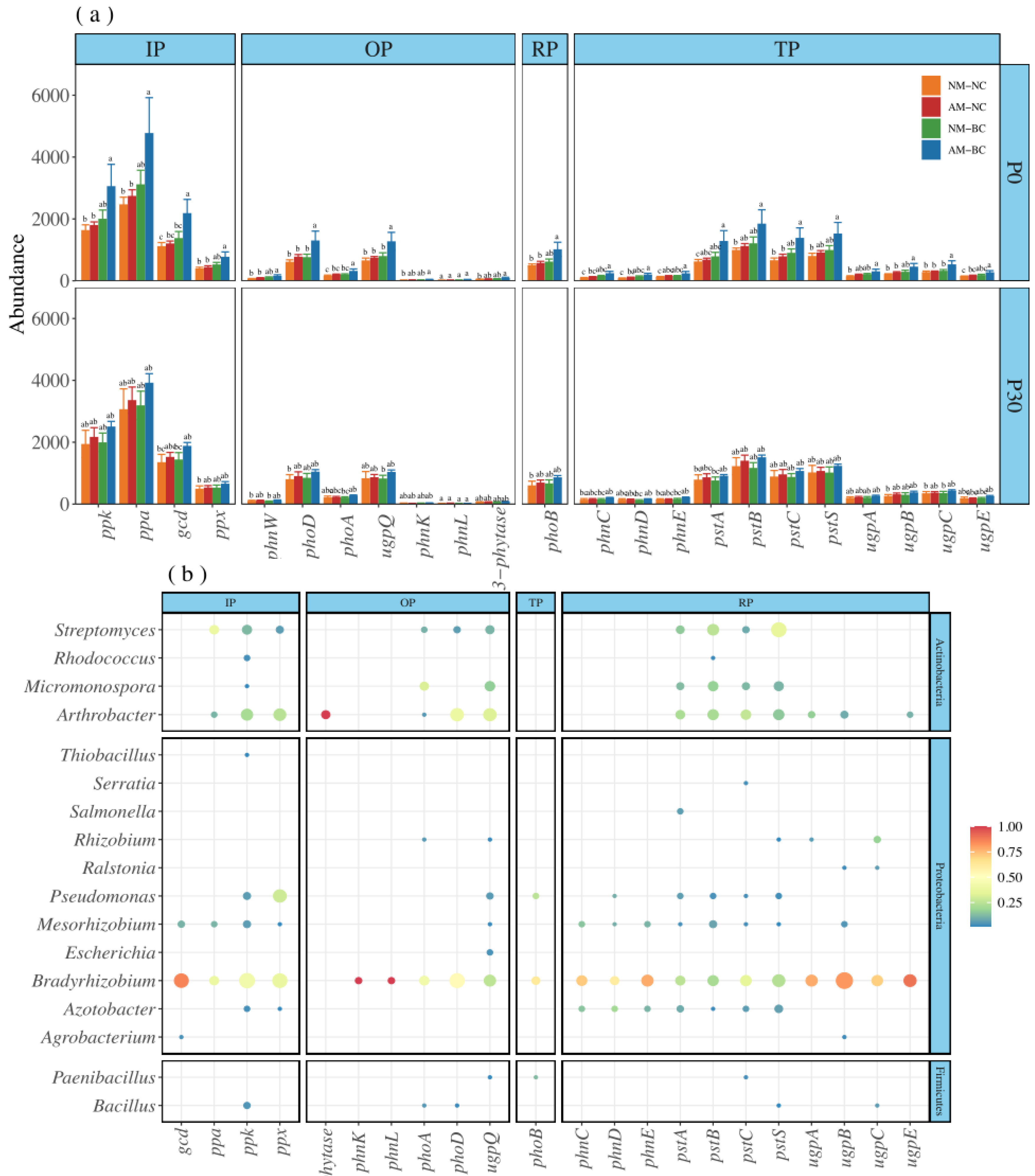 Agronomy 14 01678 g004