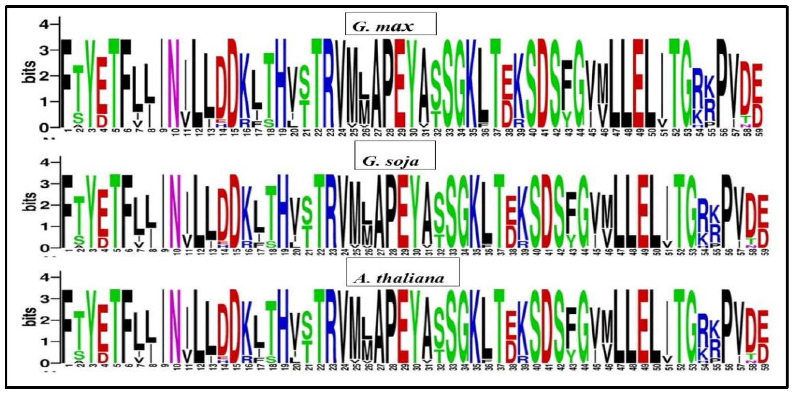 Agronomy 14 01679 g003