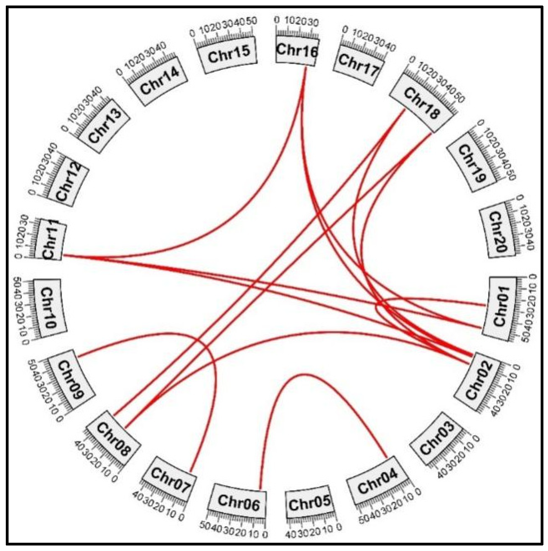 Agronomy 14 01679 g007