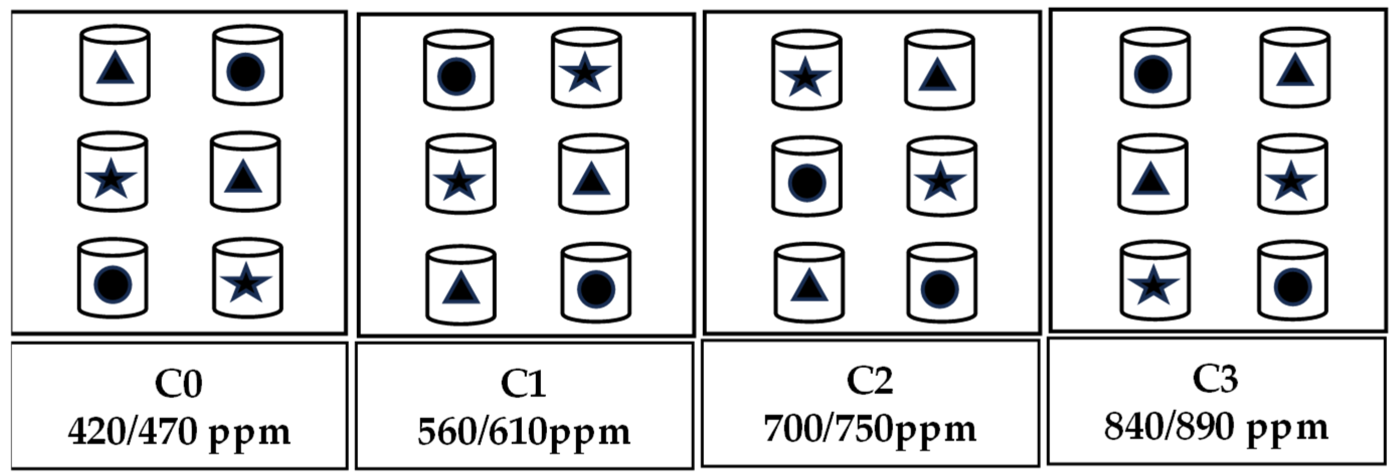 Agronomy 14 01684 g001