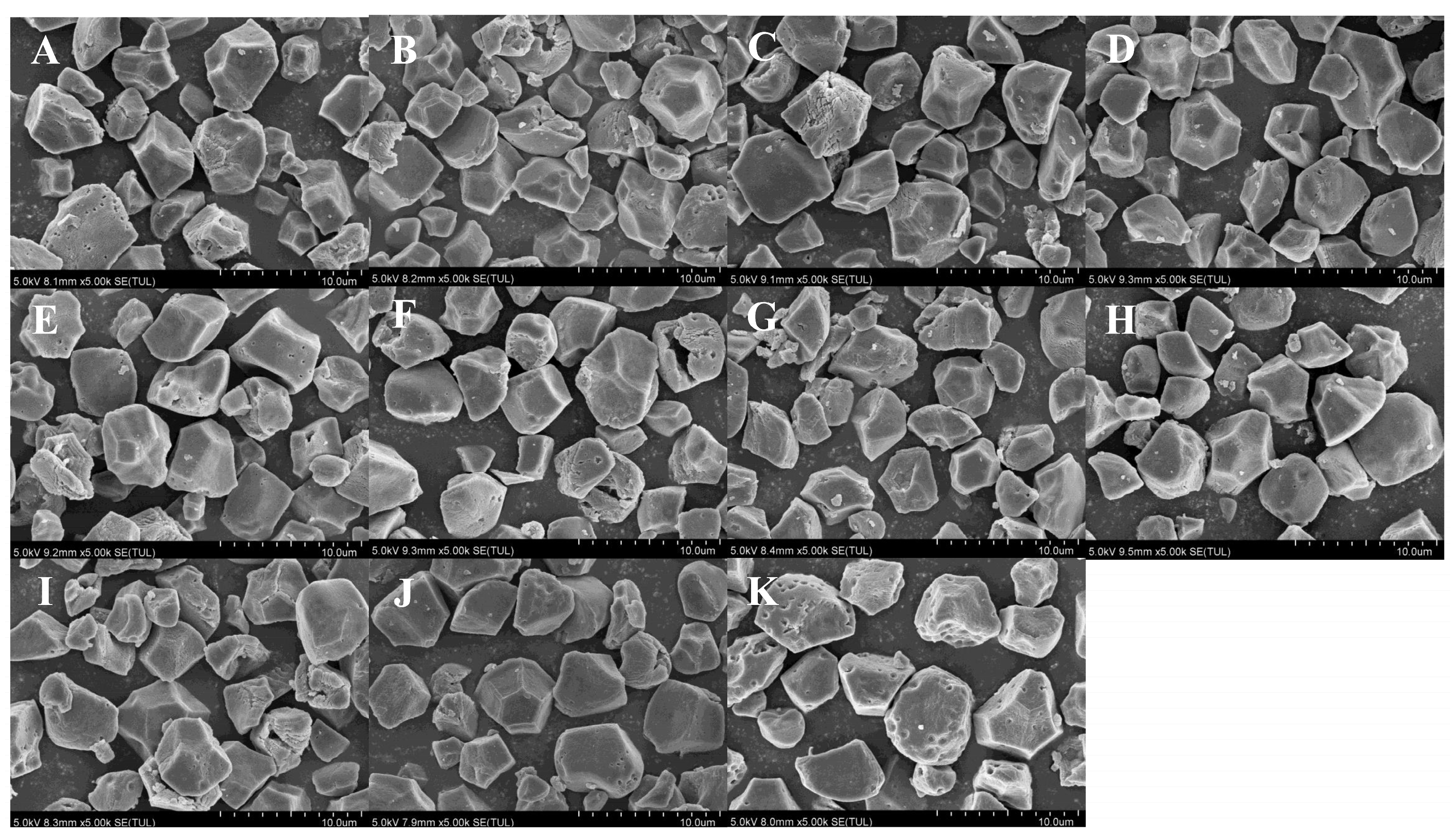 Agronomy 14 01685 g003