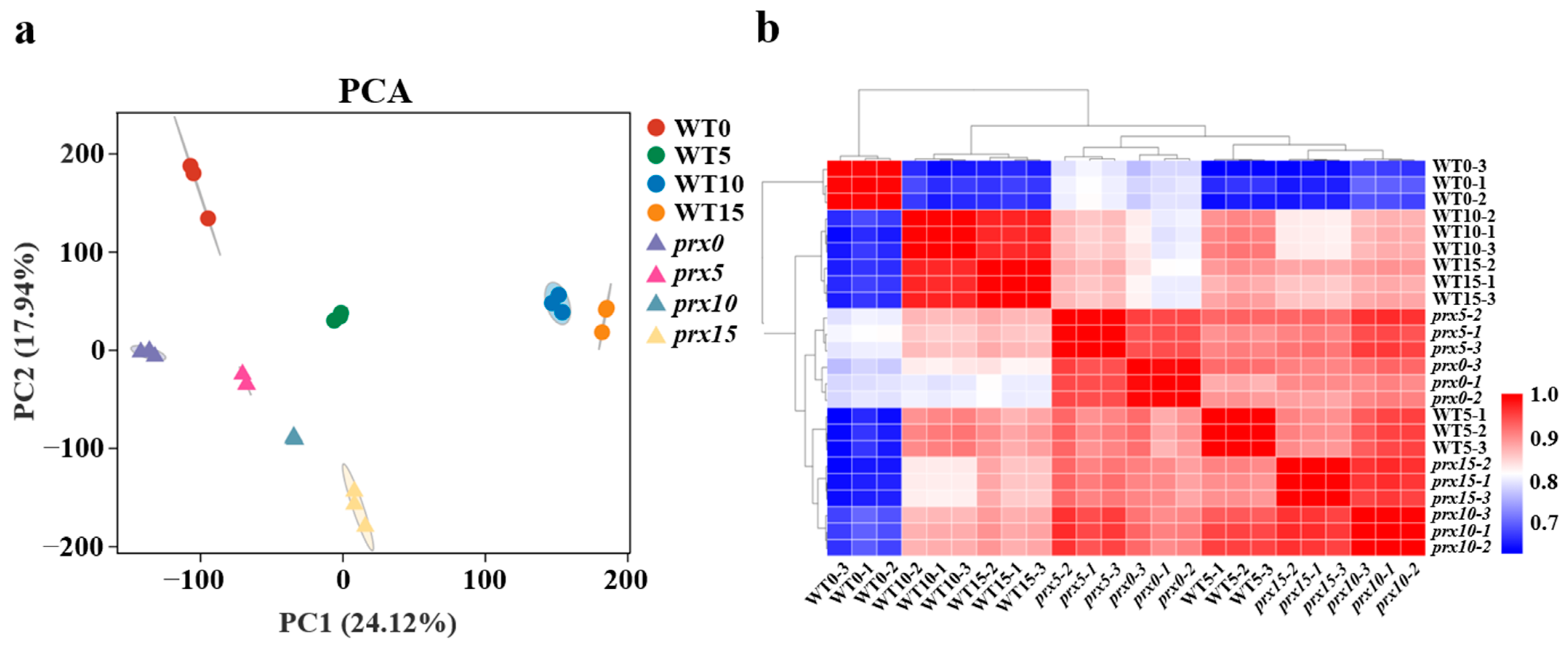 Agronomy 14 01689 g002