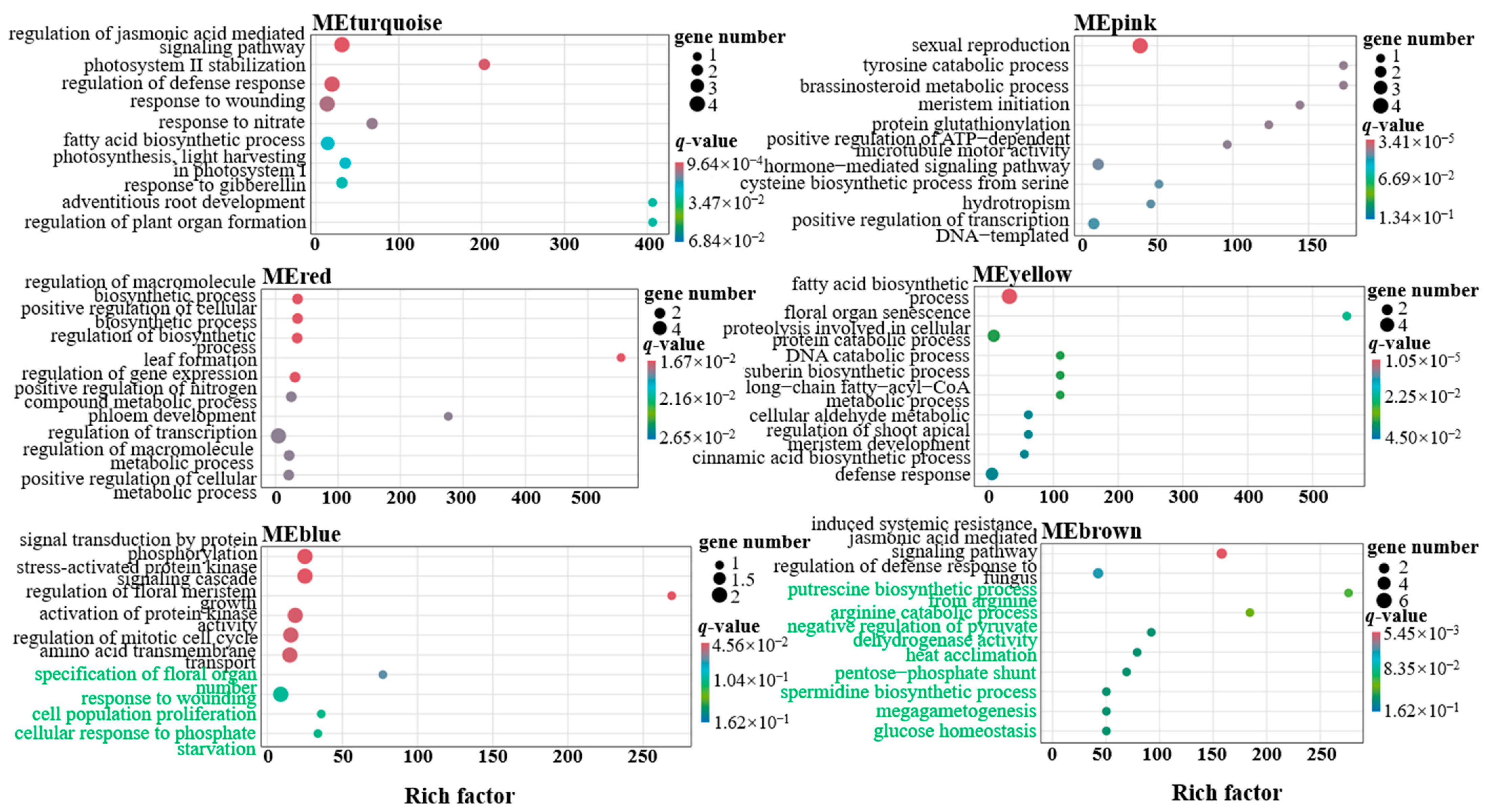Agronomy 14 01689 g007