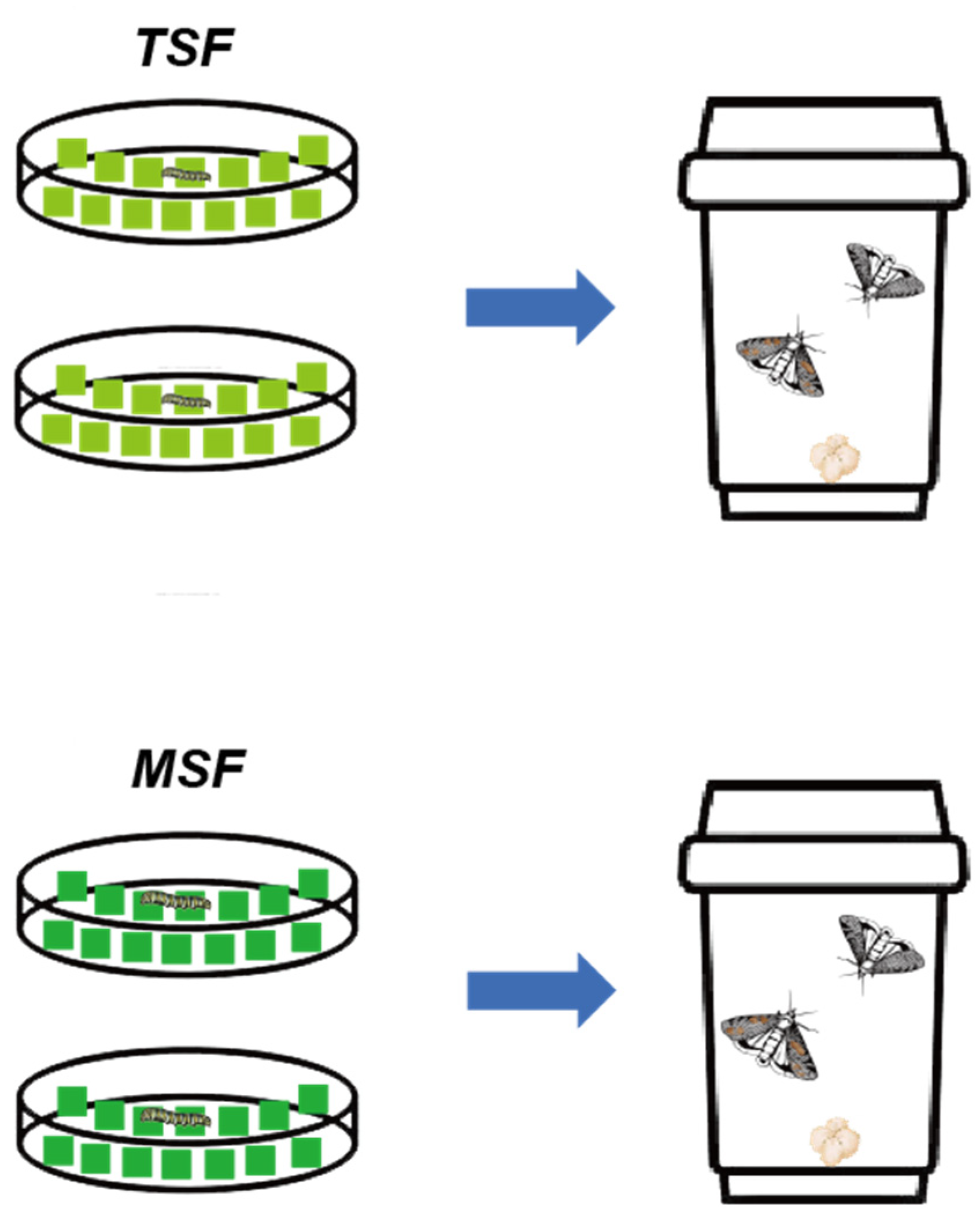 Agronomy 14 01690 g001