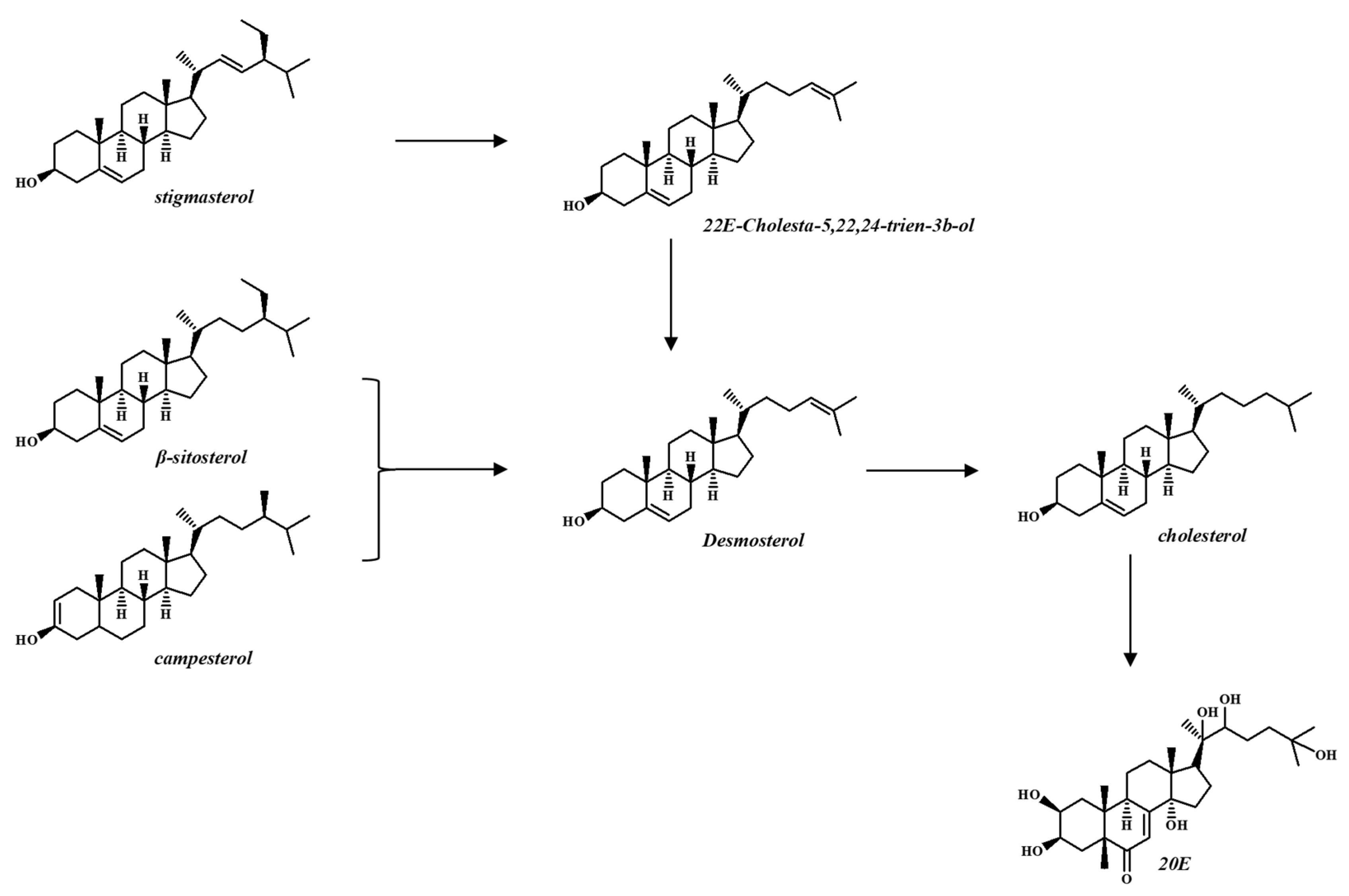 Agronomy 14 01690 g006