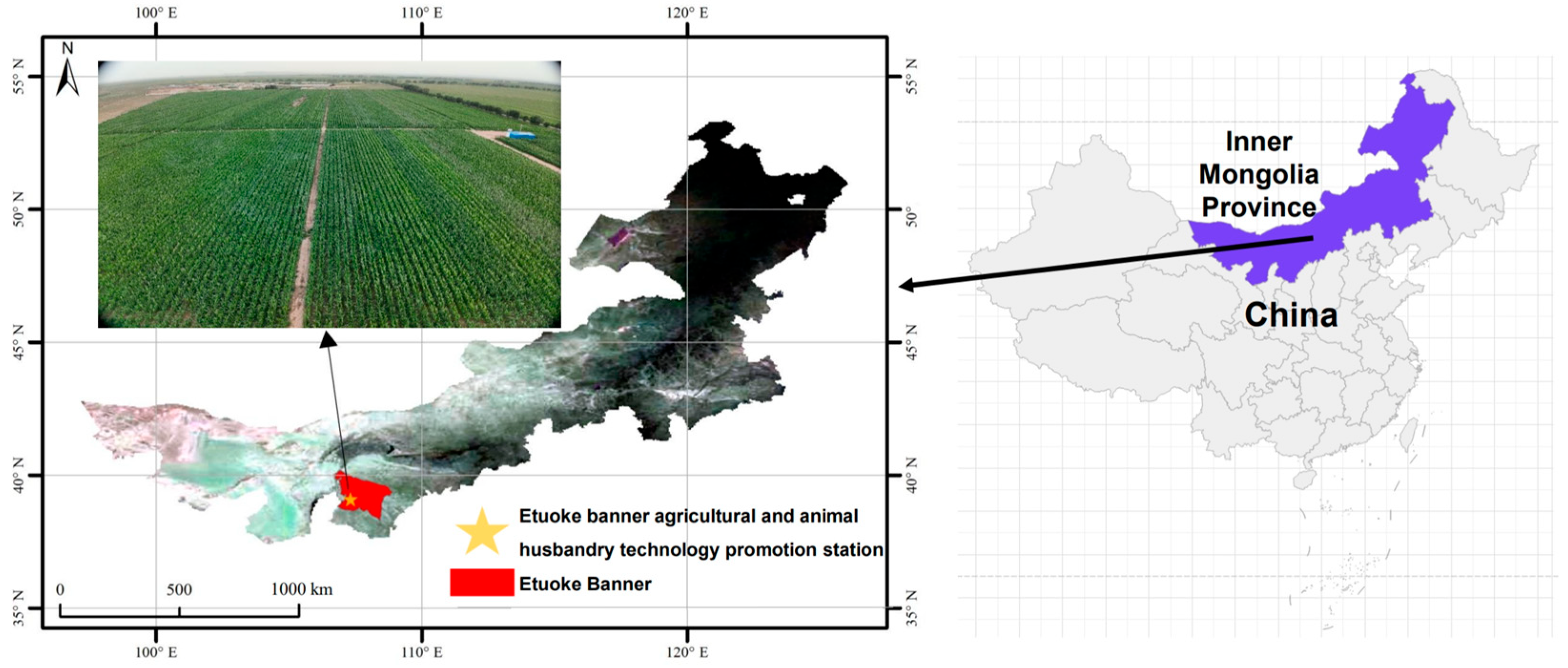 Agronomy 14 01691 g001
