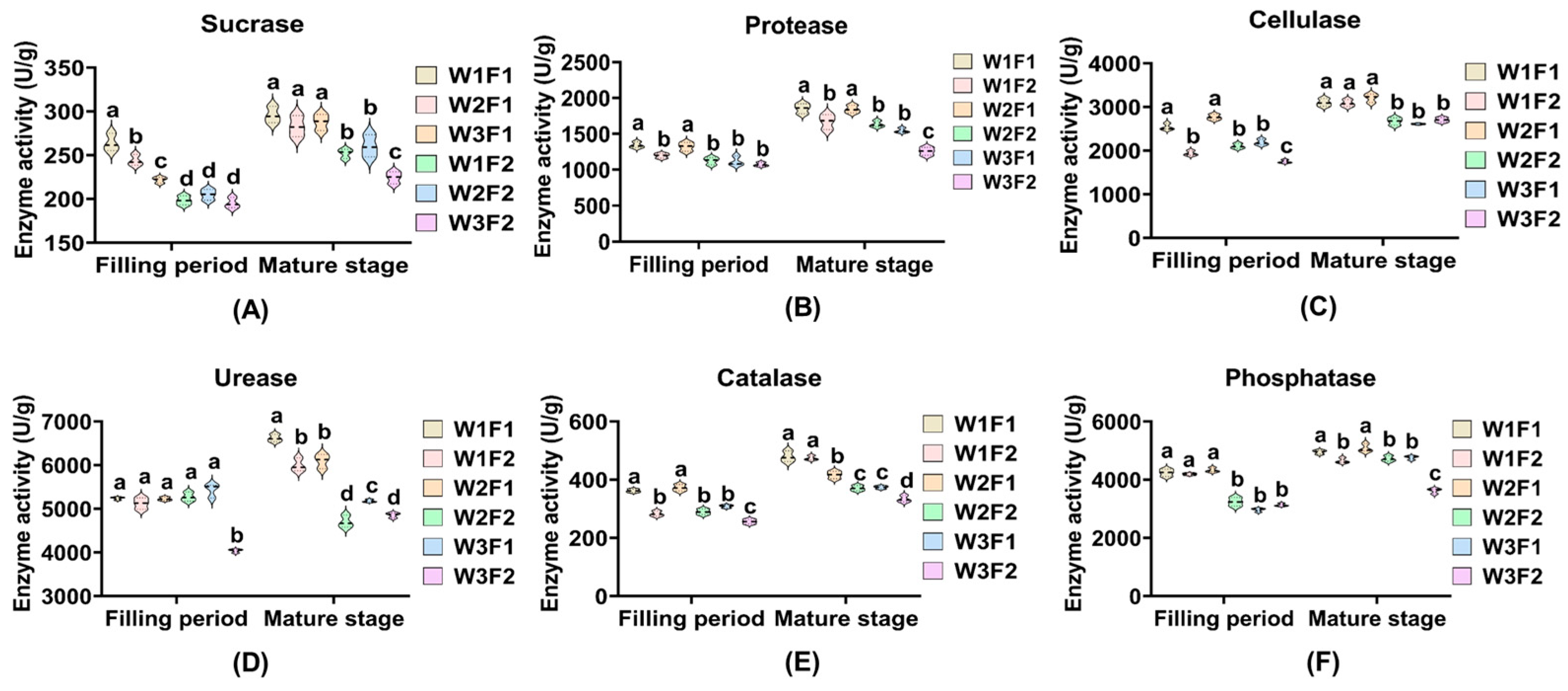 Agronomy 14 01691 g006