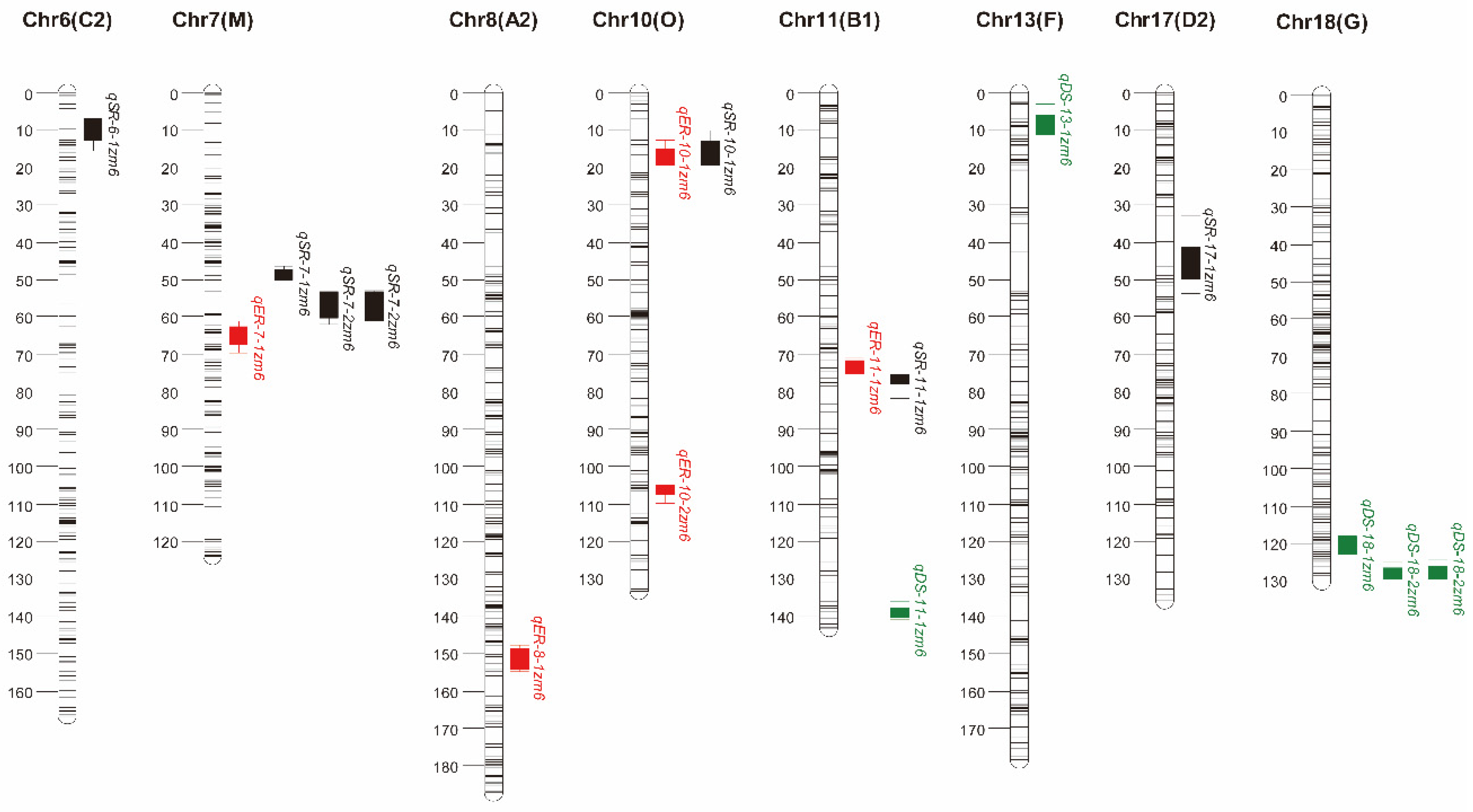Agronomy 14 01693 g004