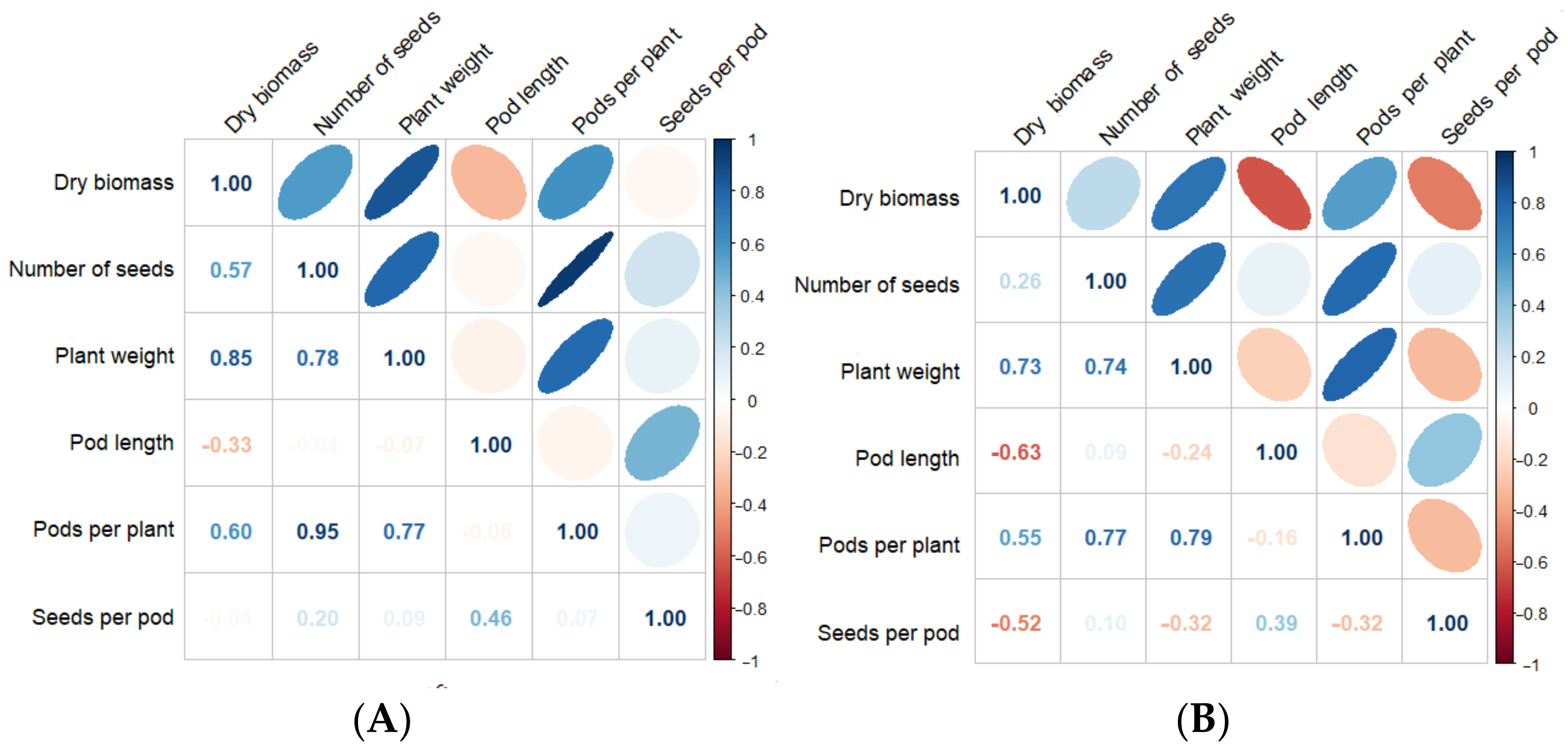 Agronomy 14 01695 g004 Agronomy 14 01695 g004
