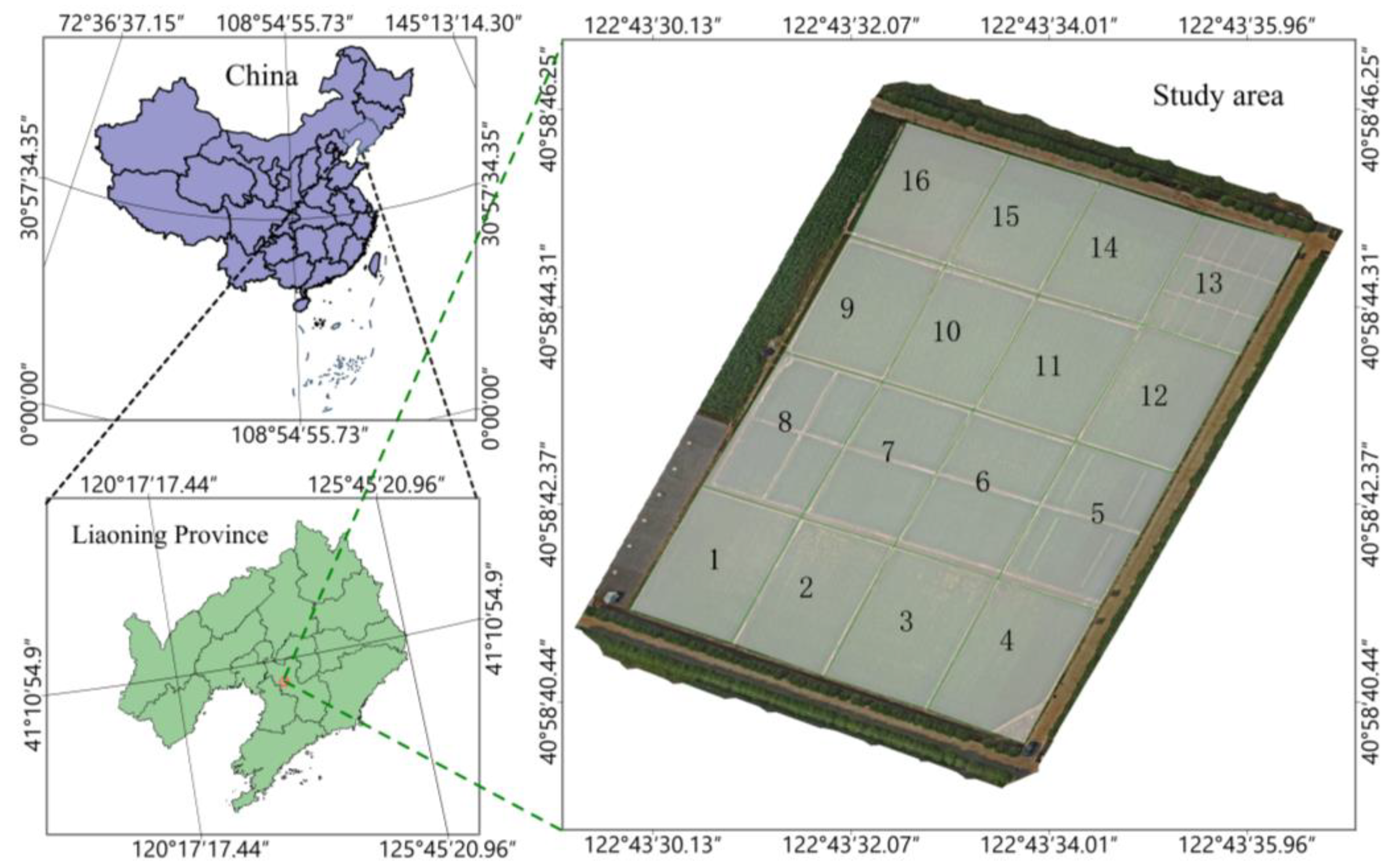 Agronomy 14 01702 g001