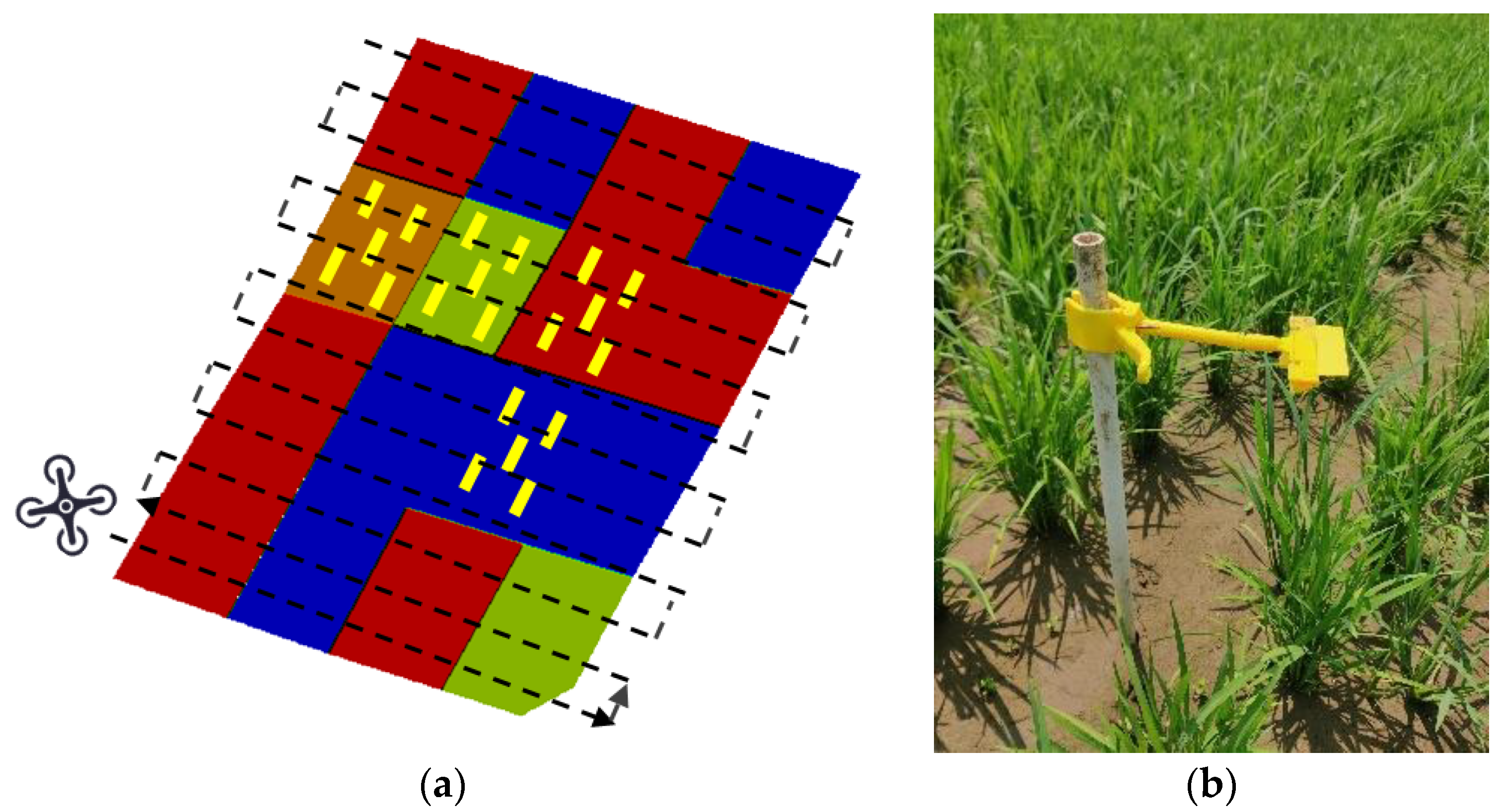 Agronomy 14 01702 g002