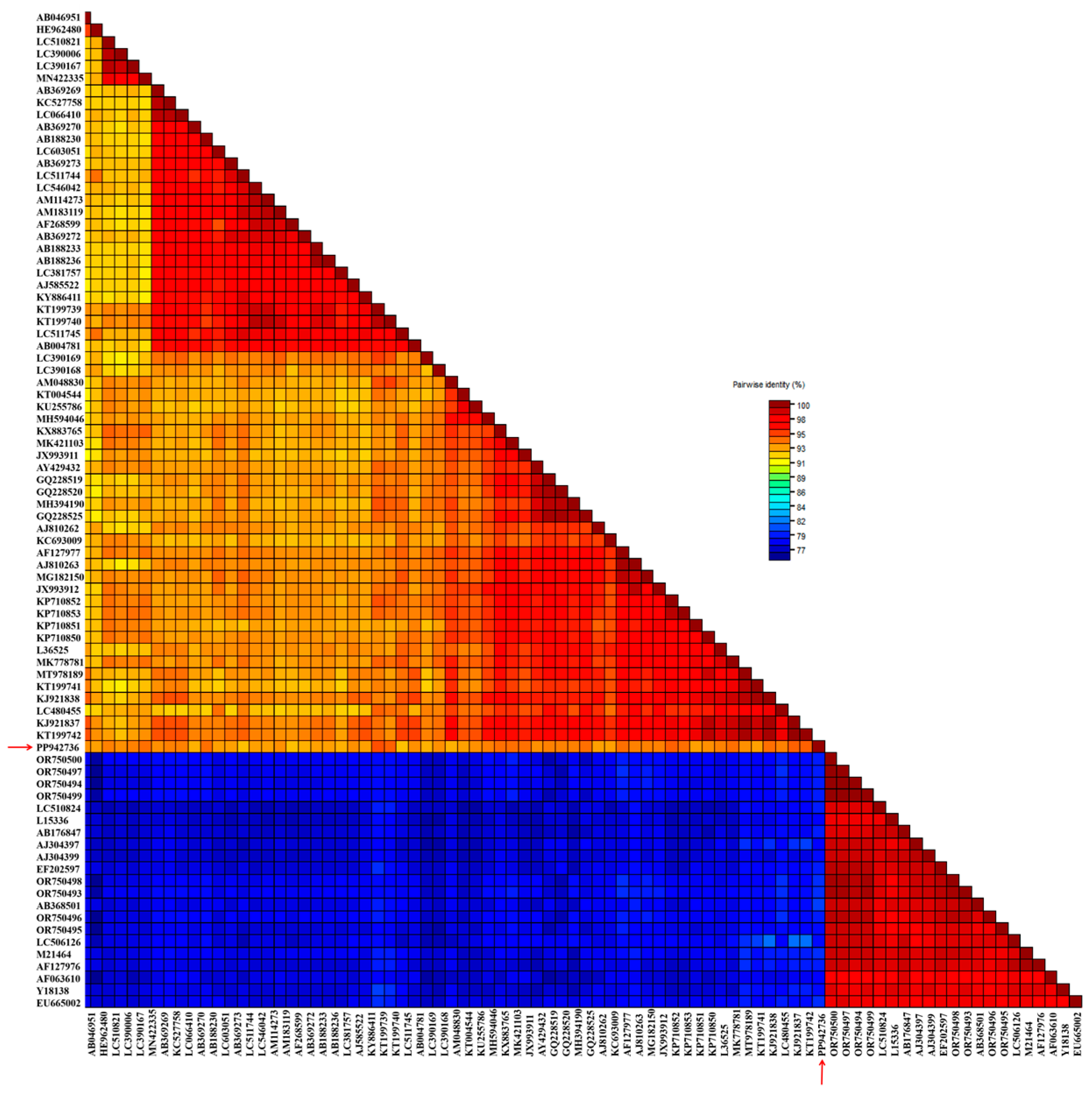 Agronomy 14 01709 g005