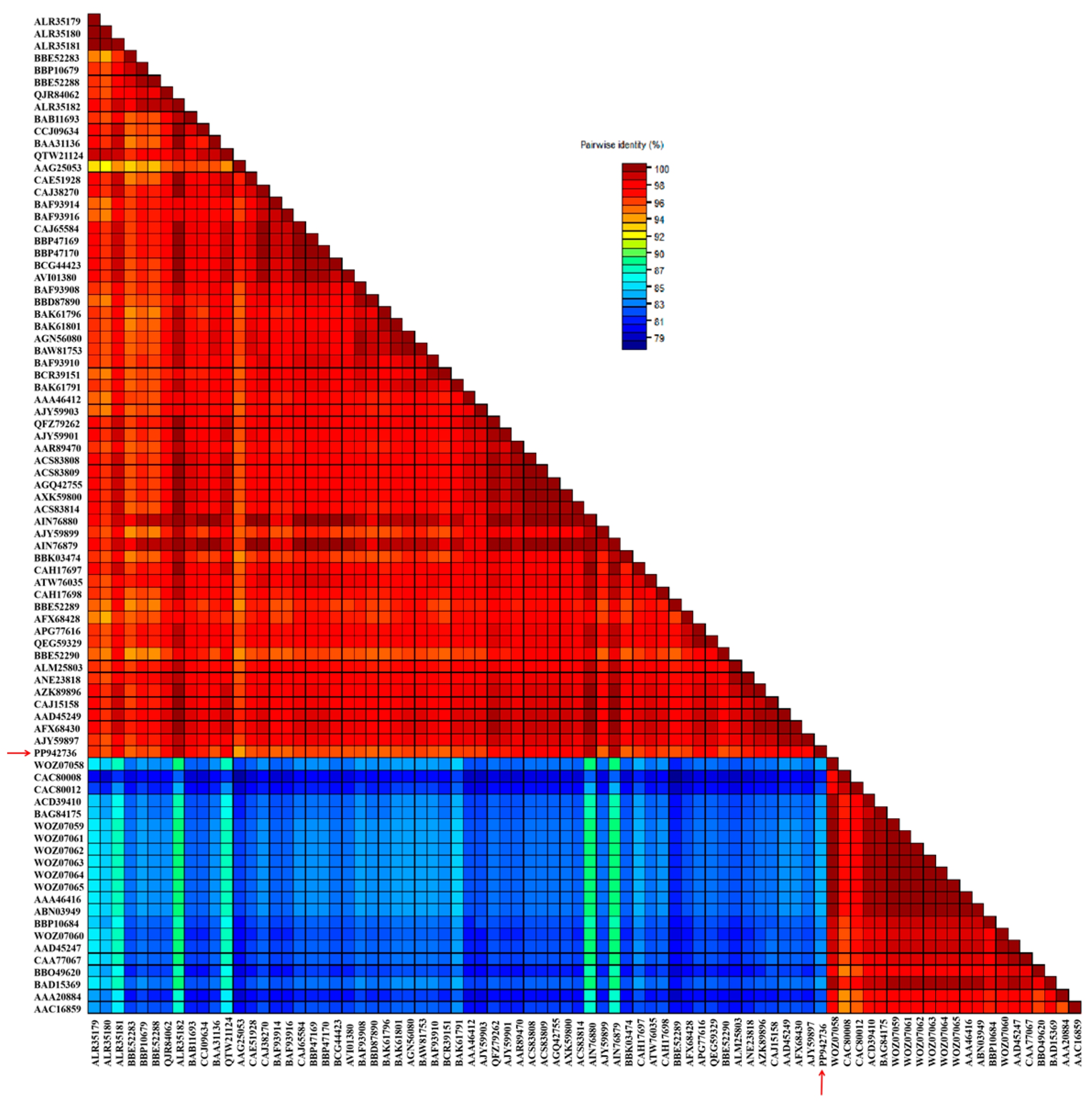 Agronomy 14 01709 g006
