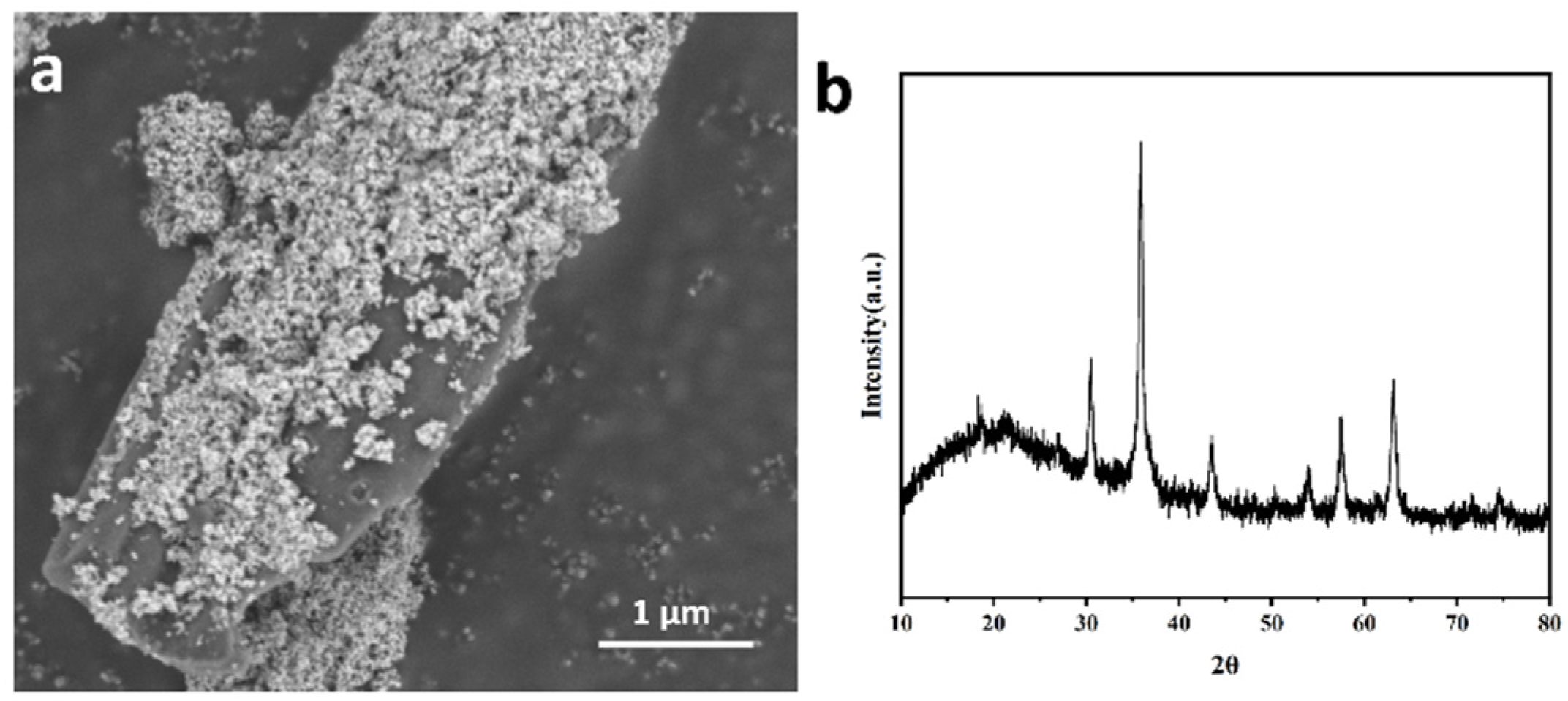 Agronomy 14 01710 g001