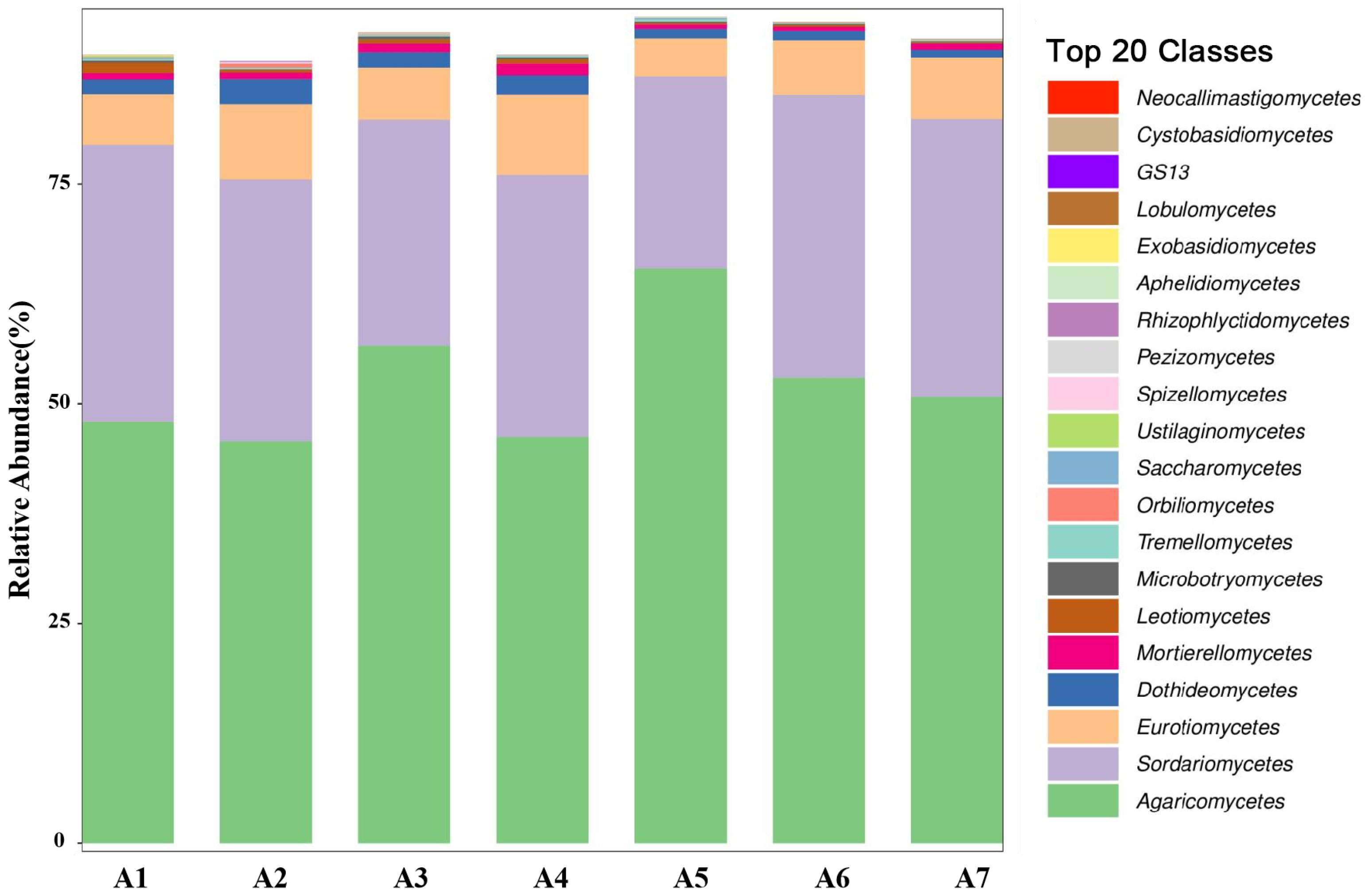 Agronomy 14 01710 g005