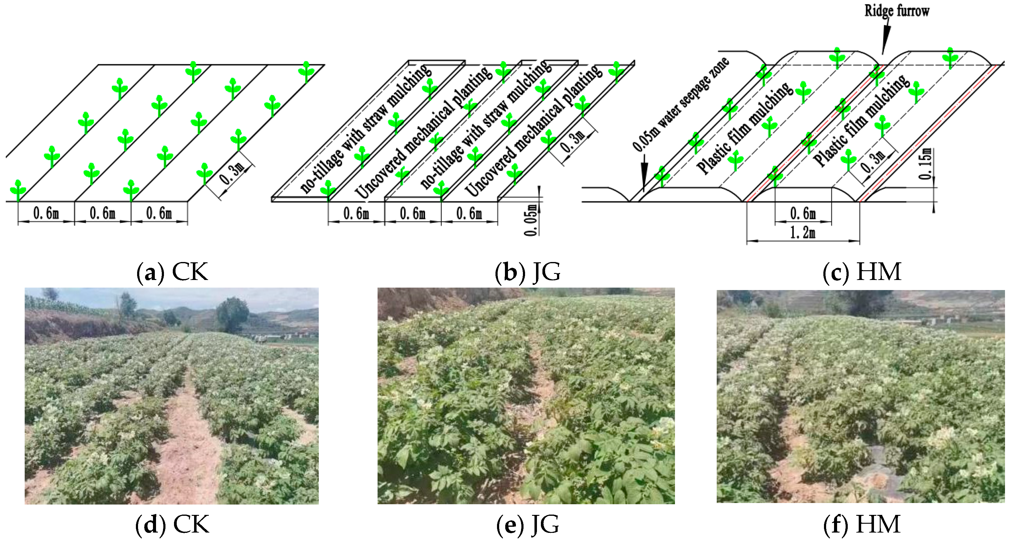 Agronomy 14 01711 g002
