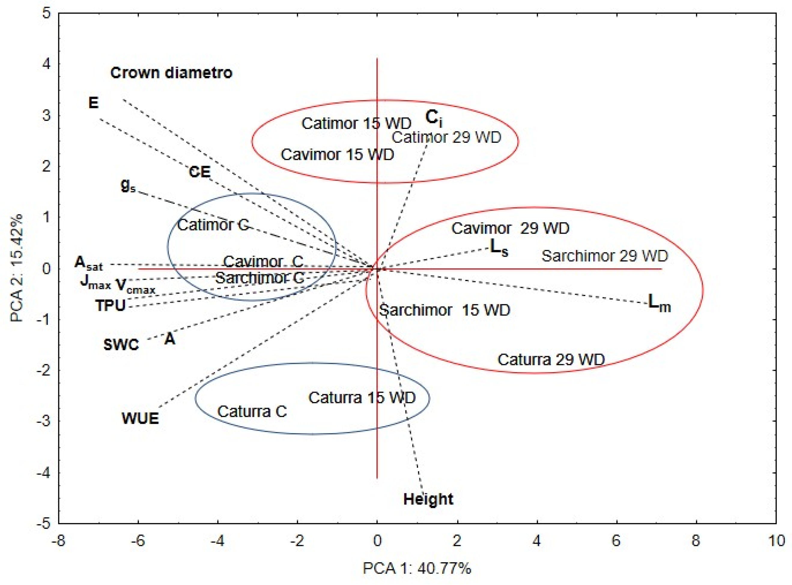Agronomy 14 01713 g007
