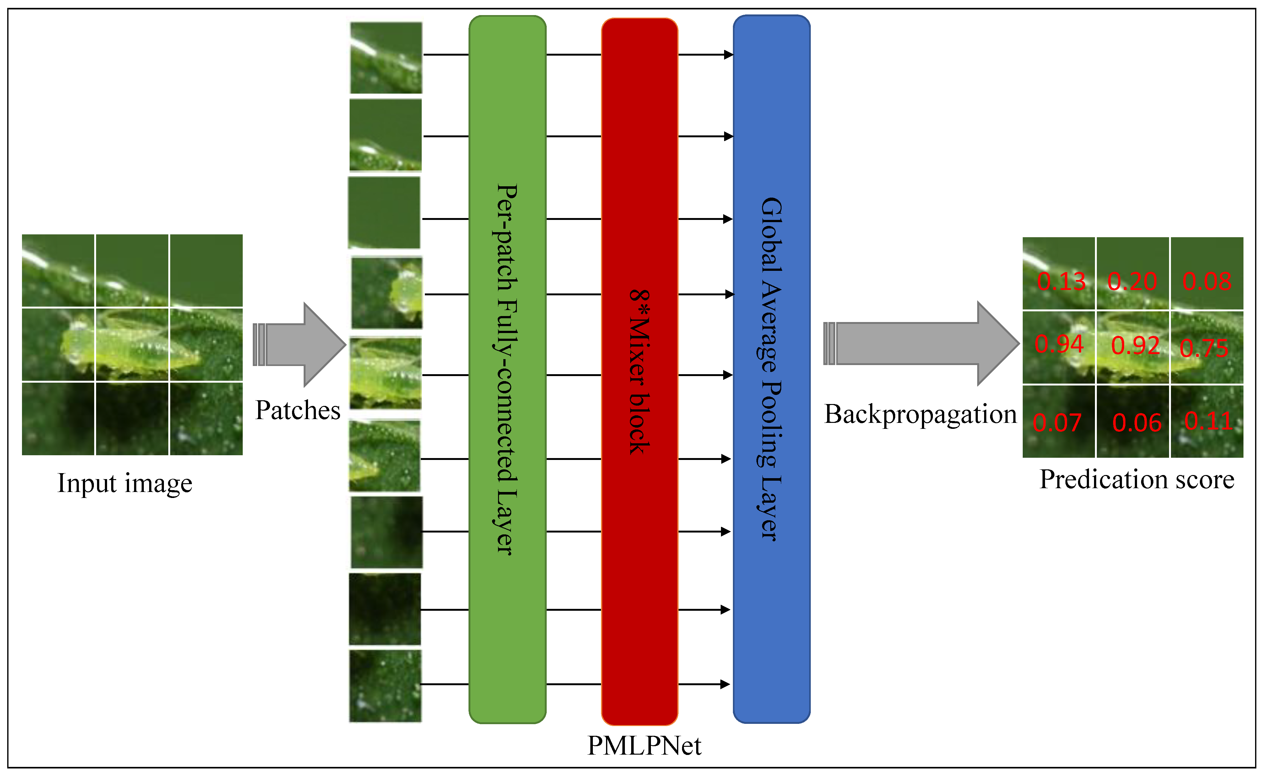 Agronomy 14 01729 g006