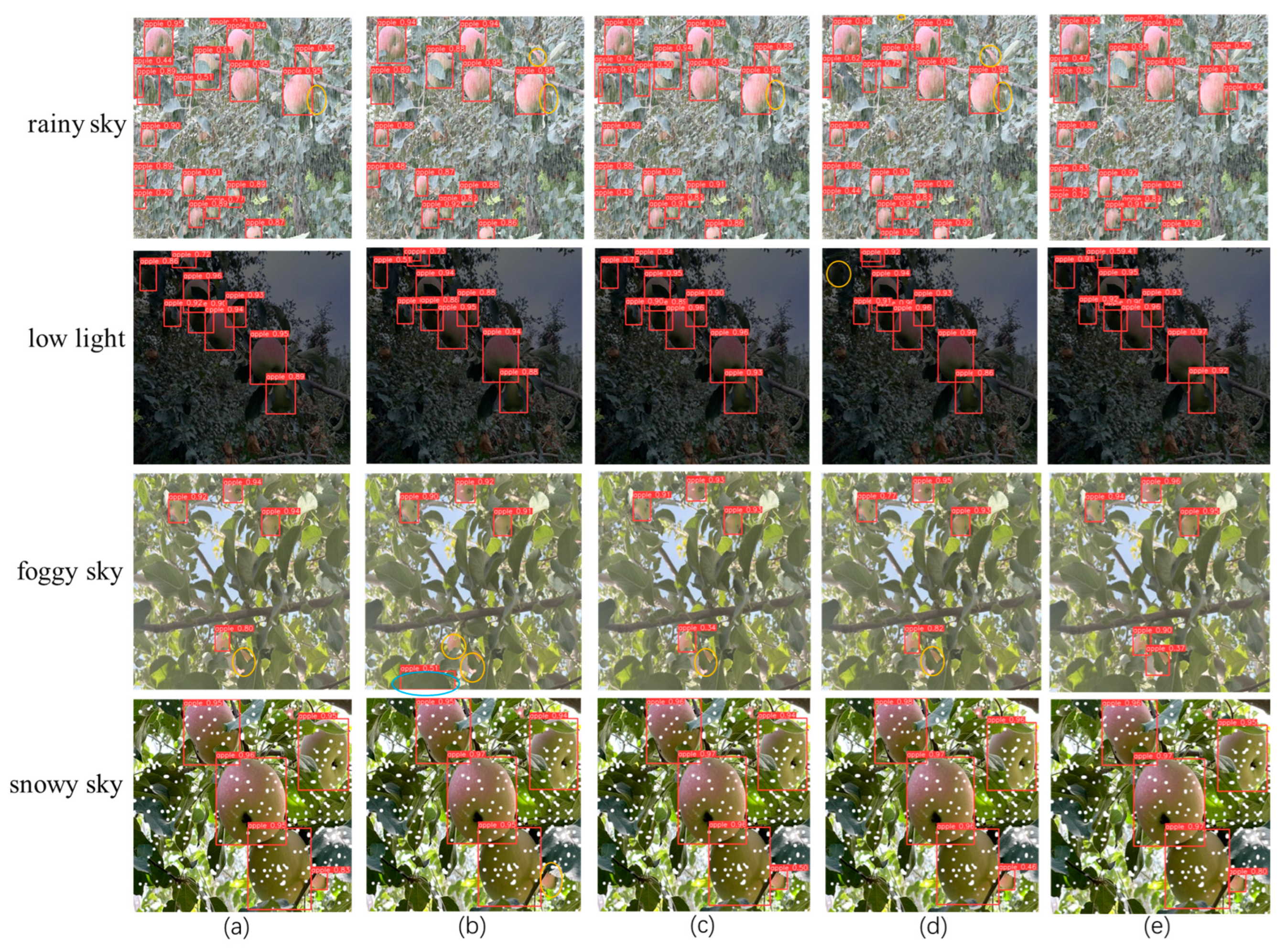 Agronomy 14 01733 g014