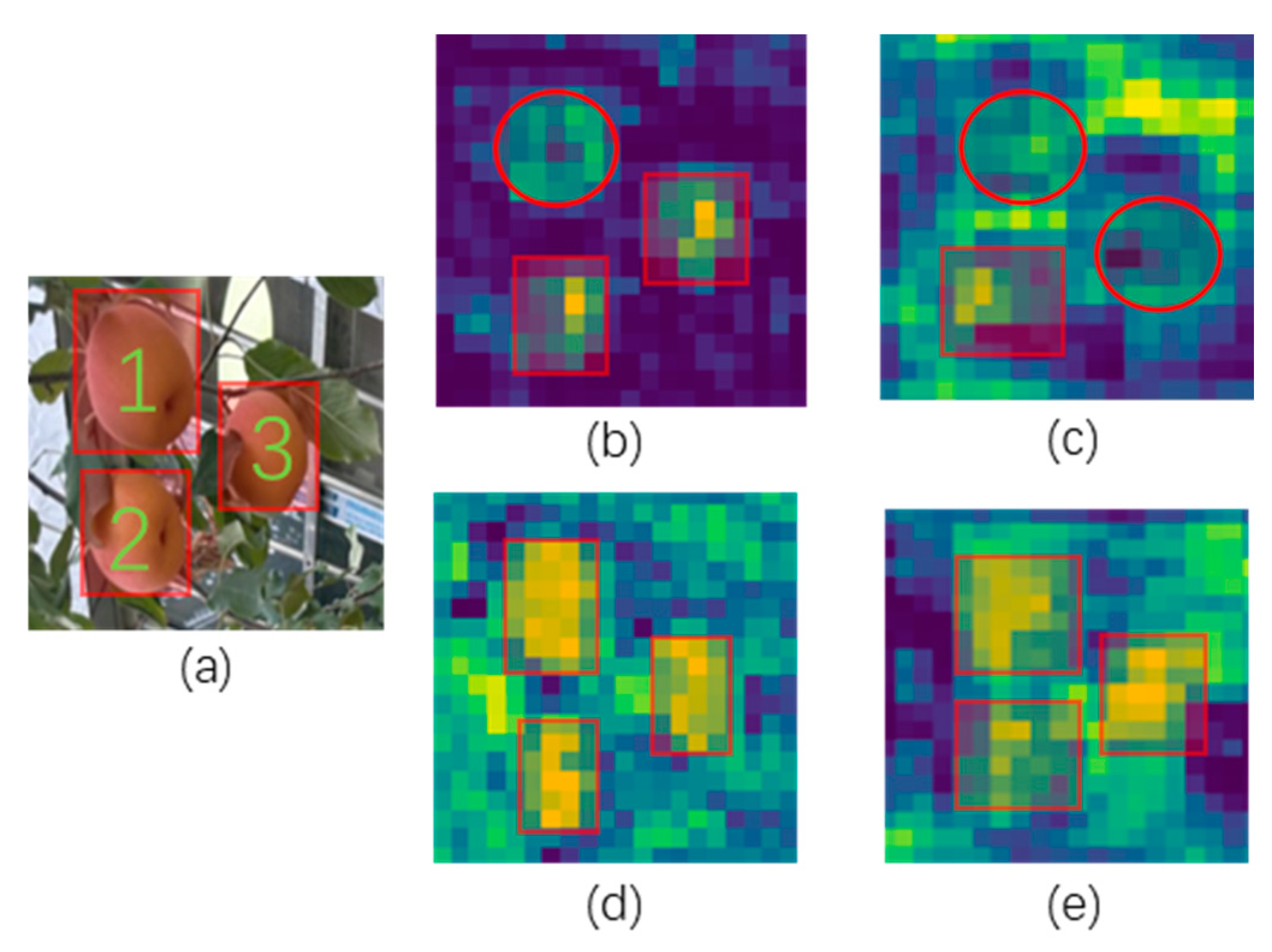 Agronomy 14 01733 g015