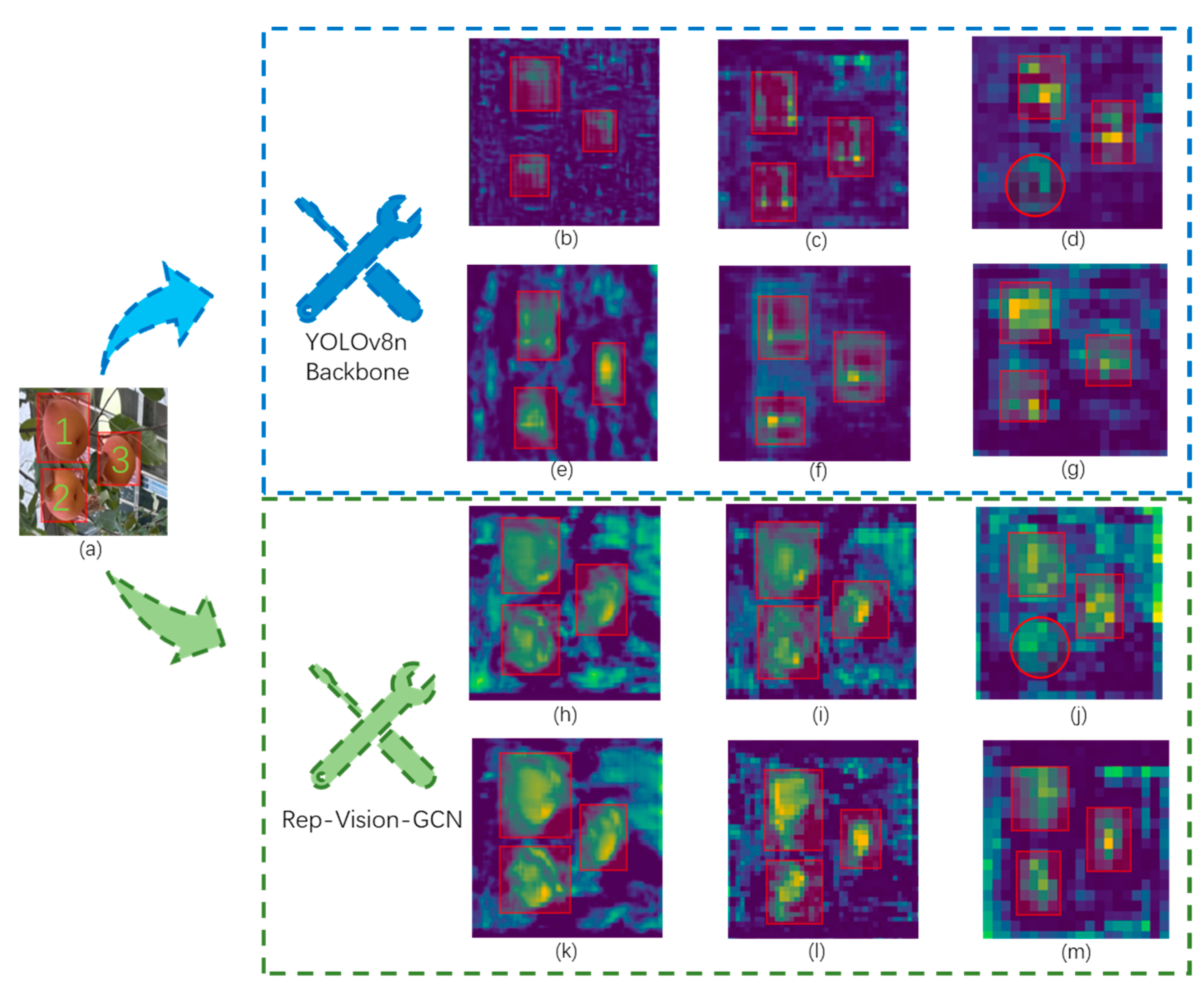 Agronomy 14 01733 g016