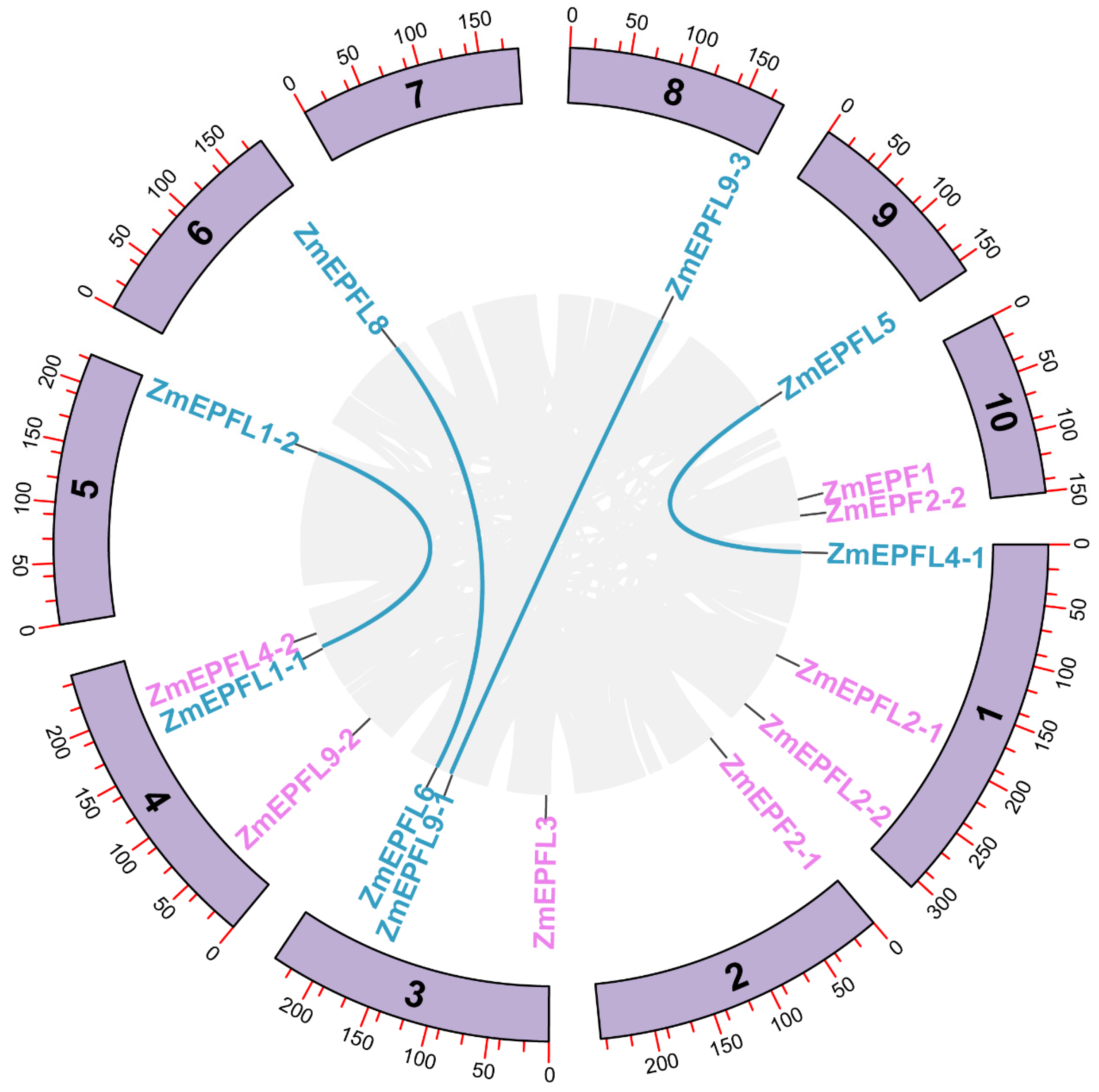 Agronomy 14 01734 g004