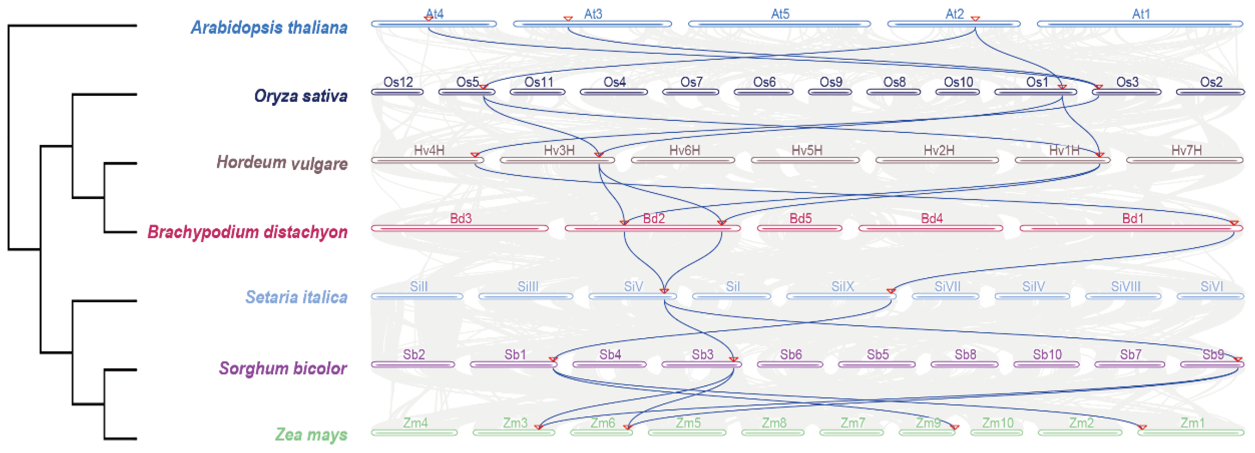 Agronomy 14 01734 g005