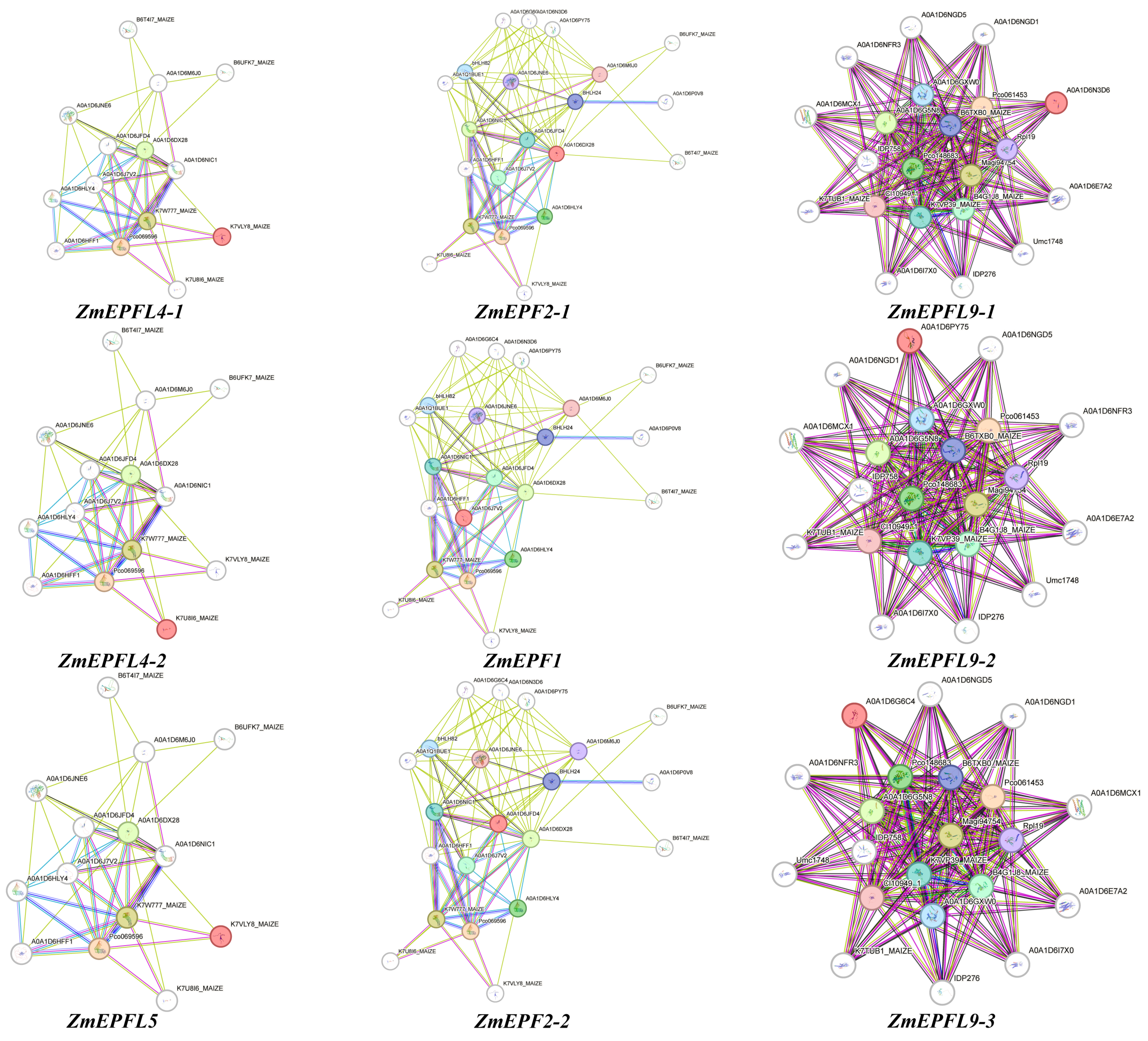 Agronomy 14 01734 g006