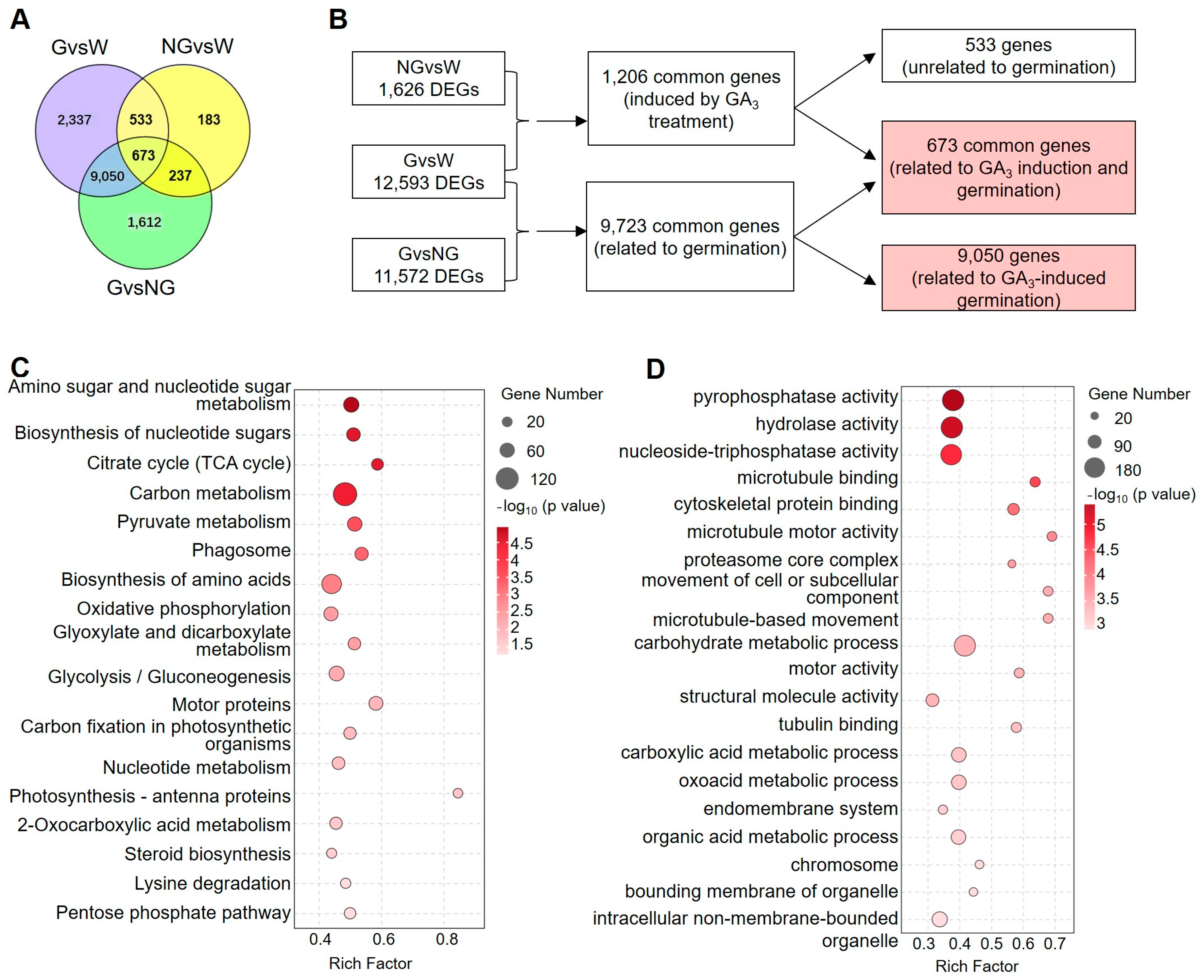 Agronomy 14 01736 g003