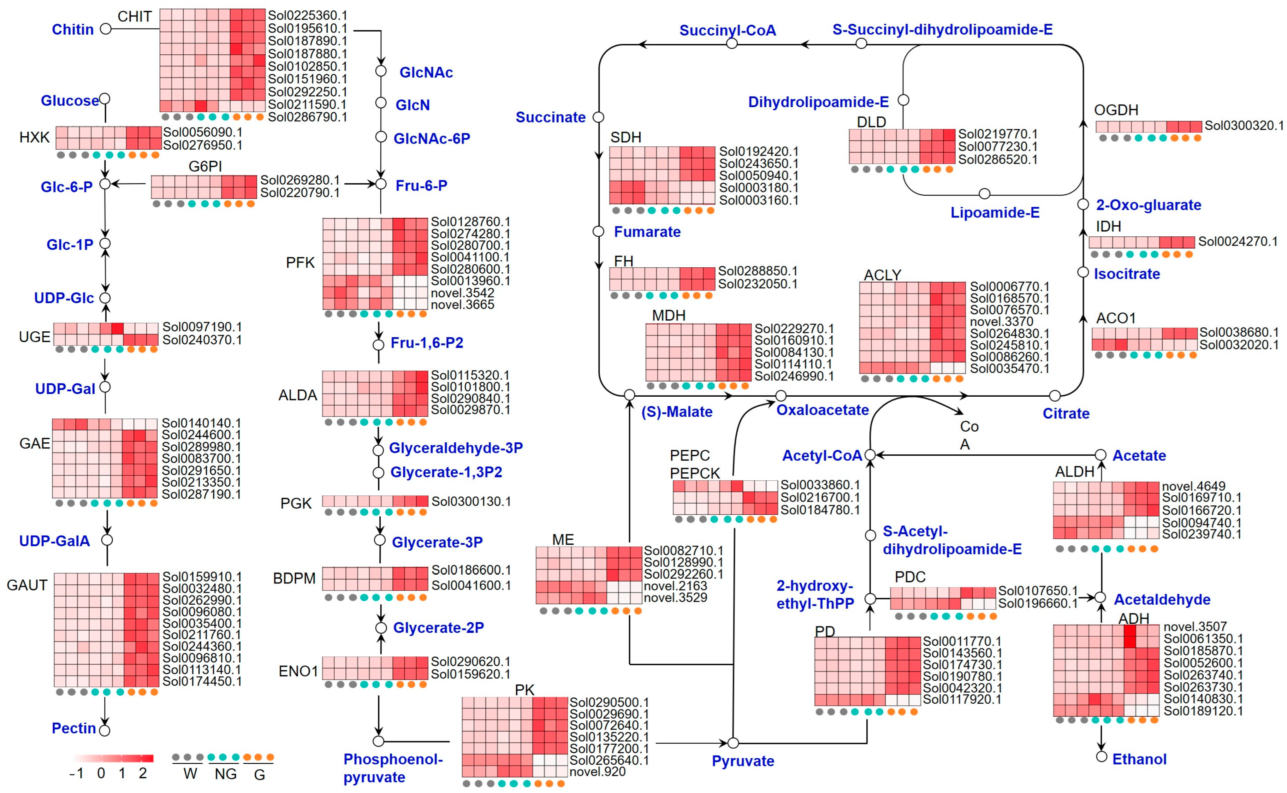 Agronomy 14 01736 g004