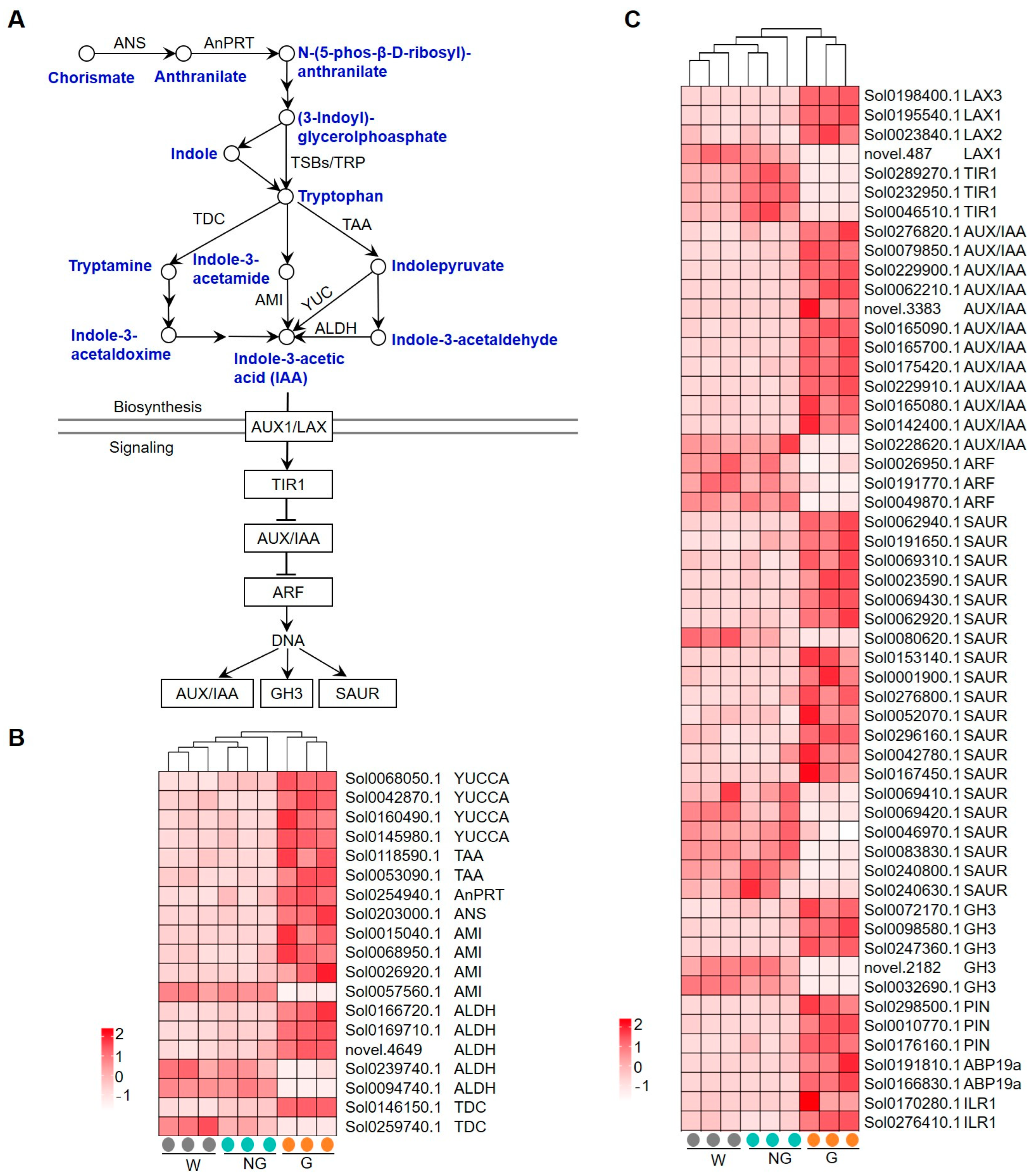 Agronomy 14 01736 g007