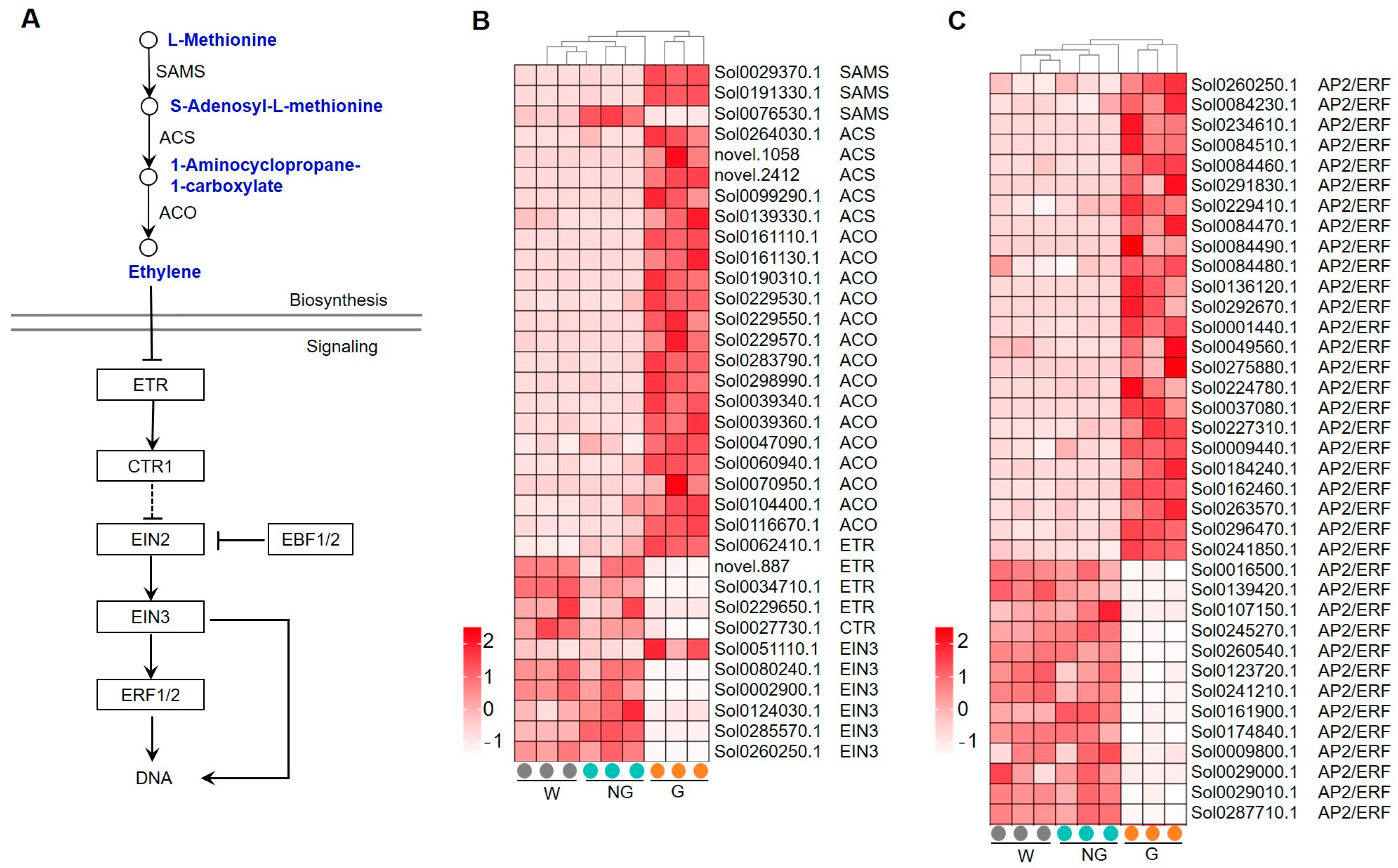 Agronomy 14 01736 g008