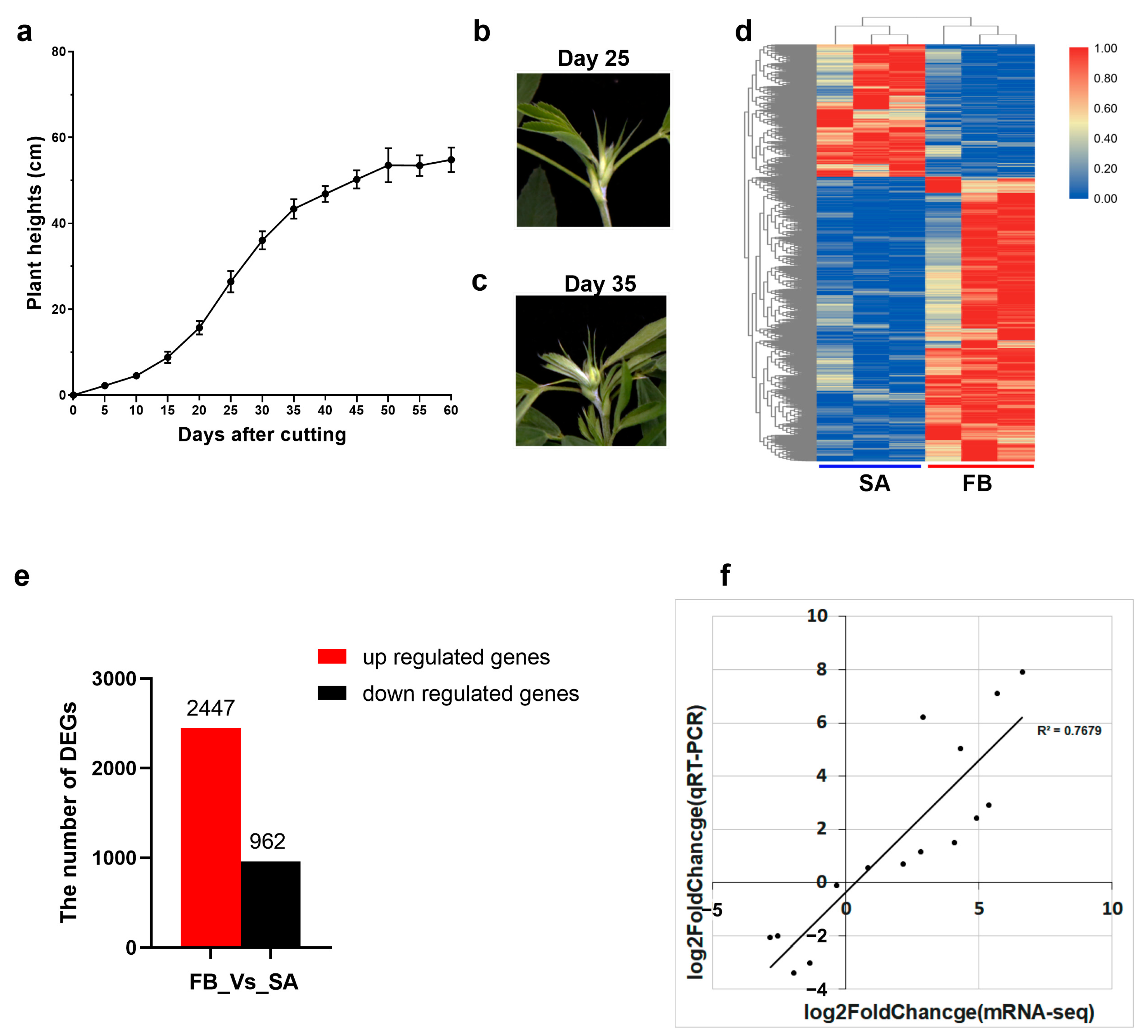 Agronomy 14 01741 g001