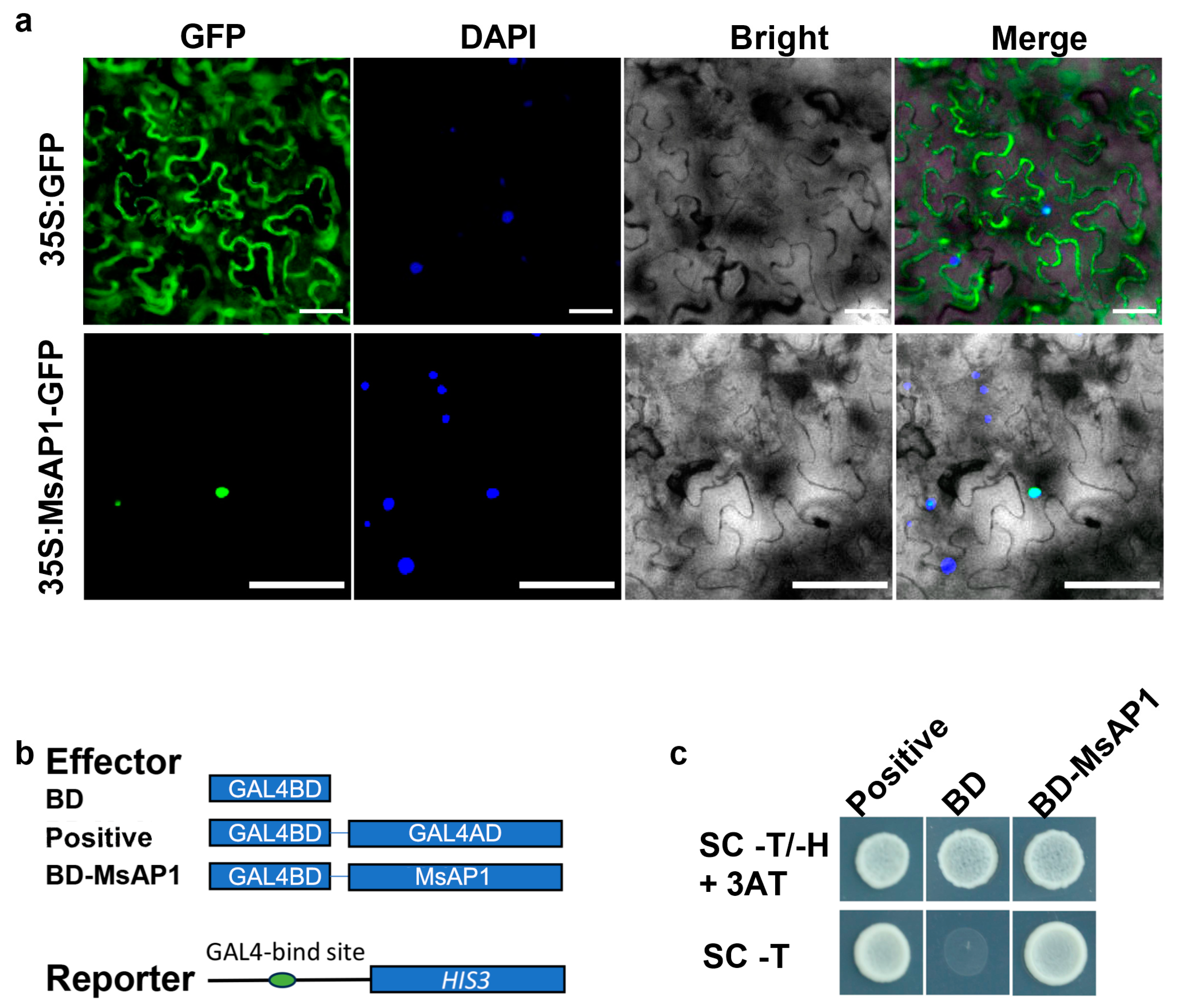 Agronomy 14 01741 g004