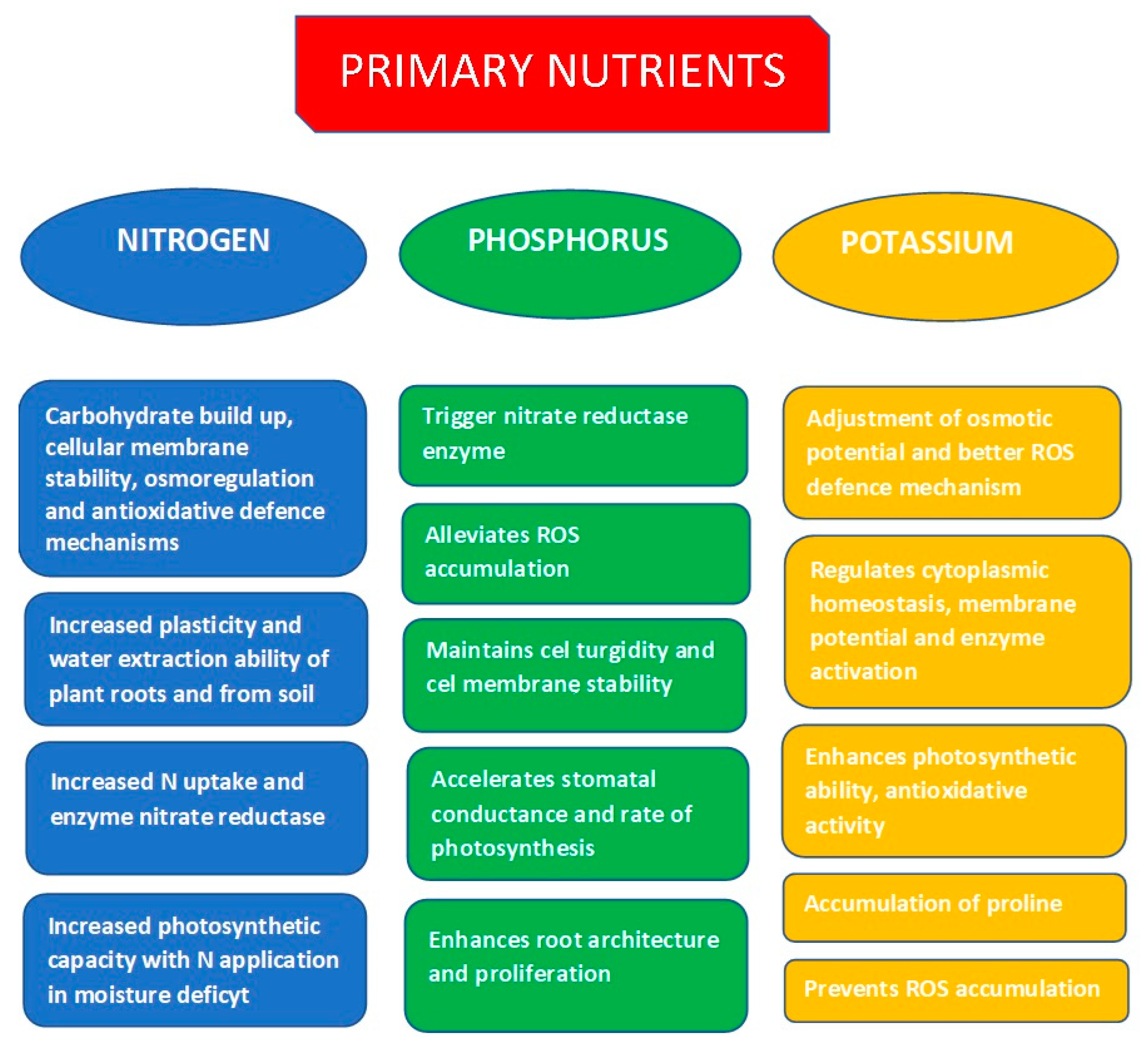 Agronomy 14 01744 g001