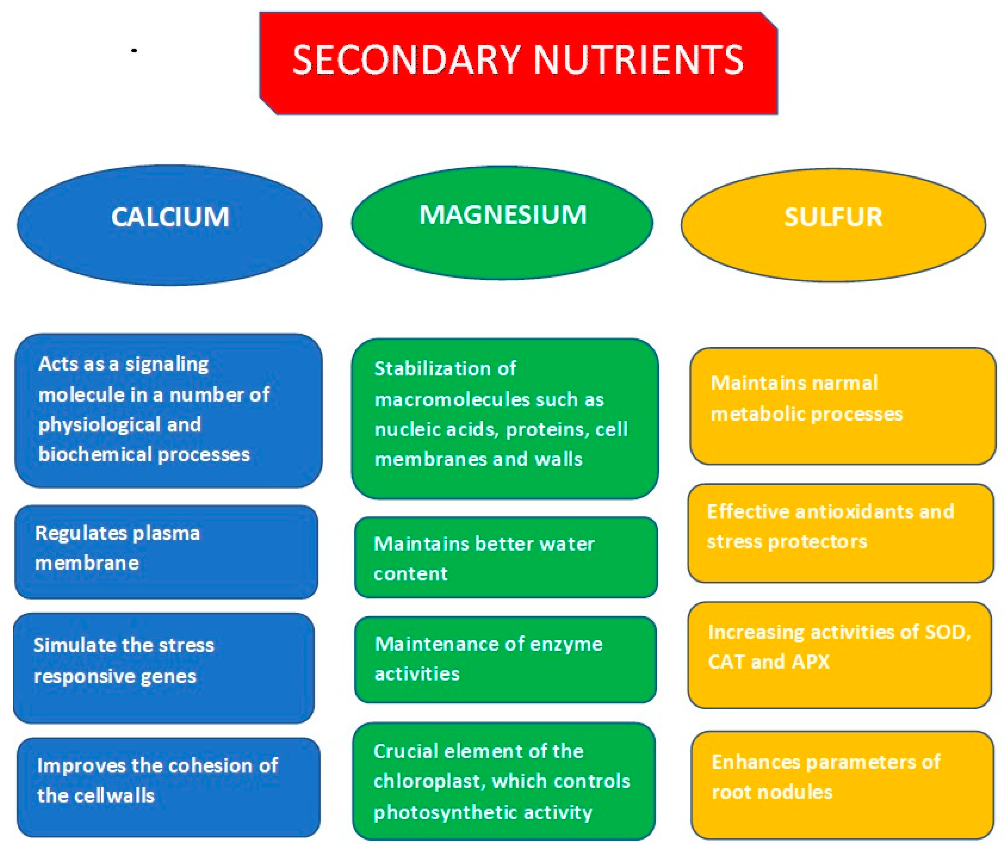 Agronomy 14 01744 g002
