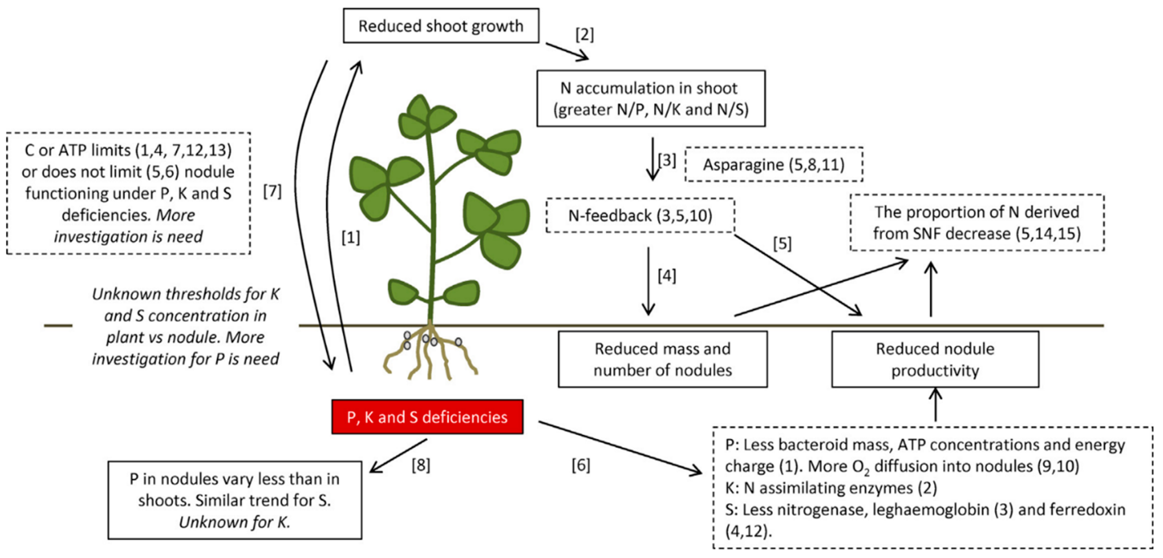 Agronomy 14 01744 g003