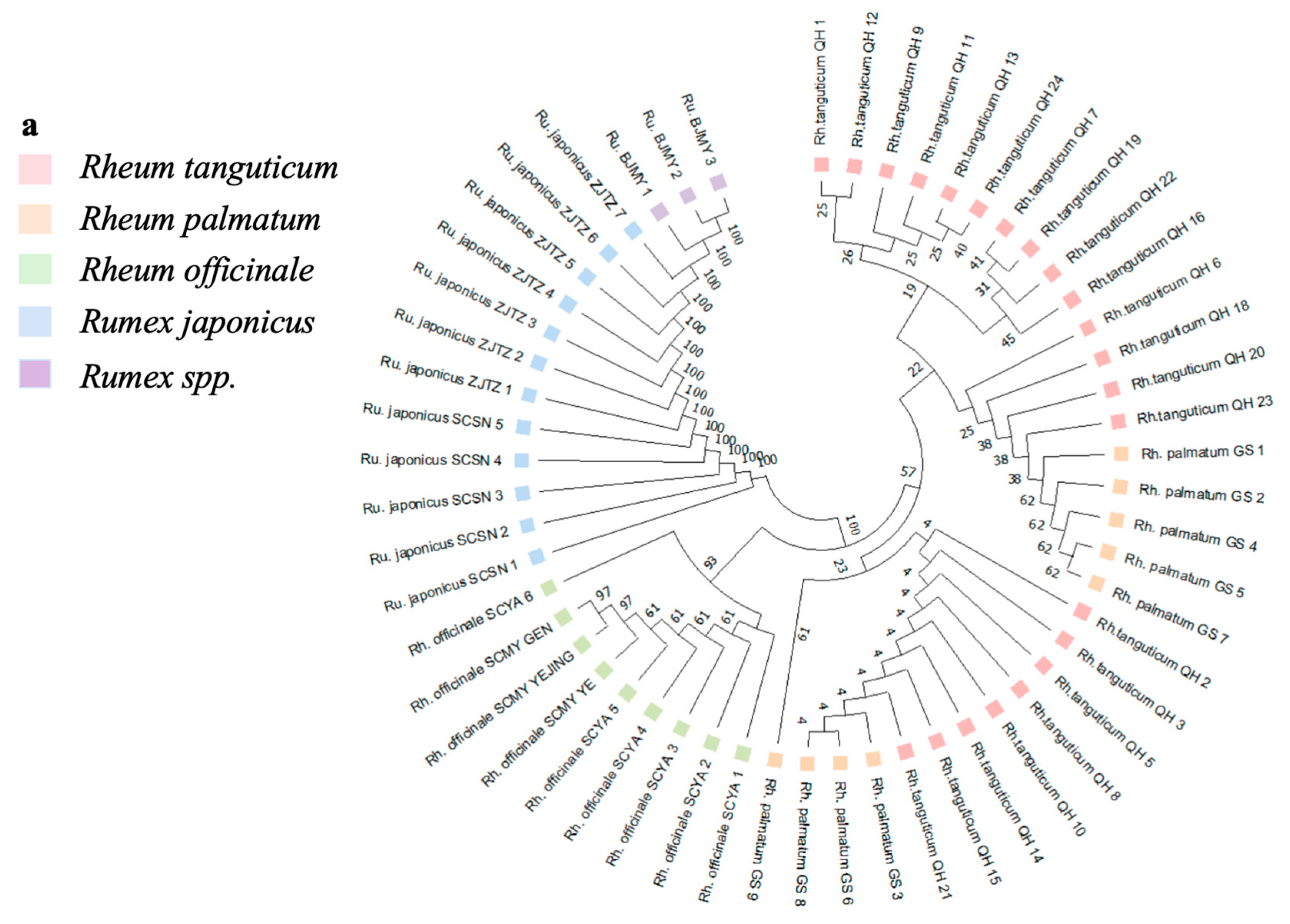 Agronomy 14 01746 g002a