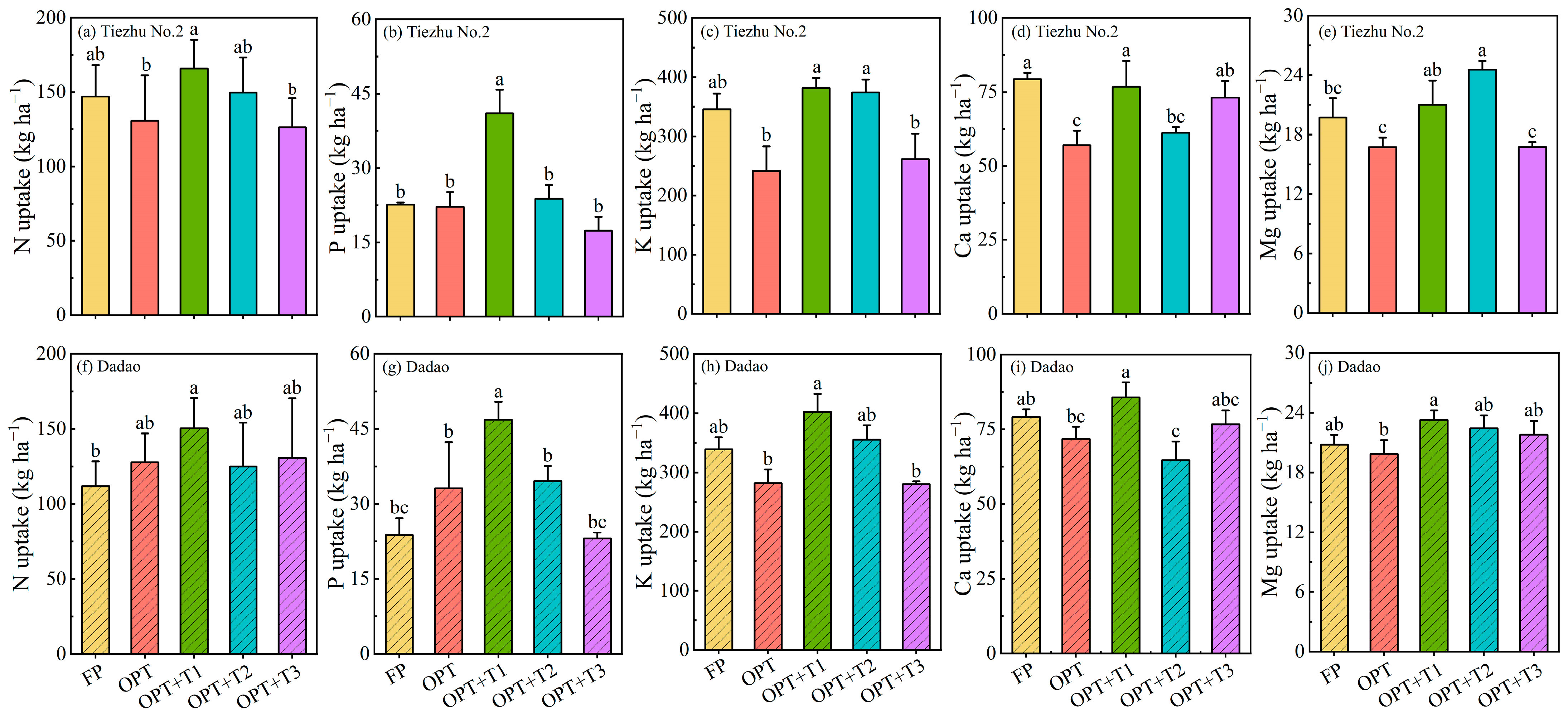 Agronomy 14 01750 g004 Agronomy 14 01750 g004