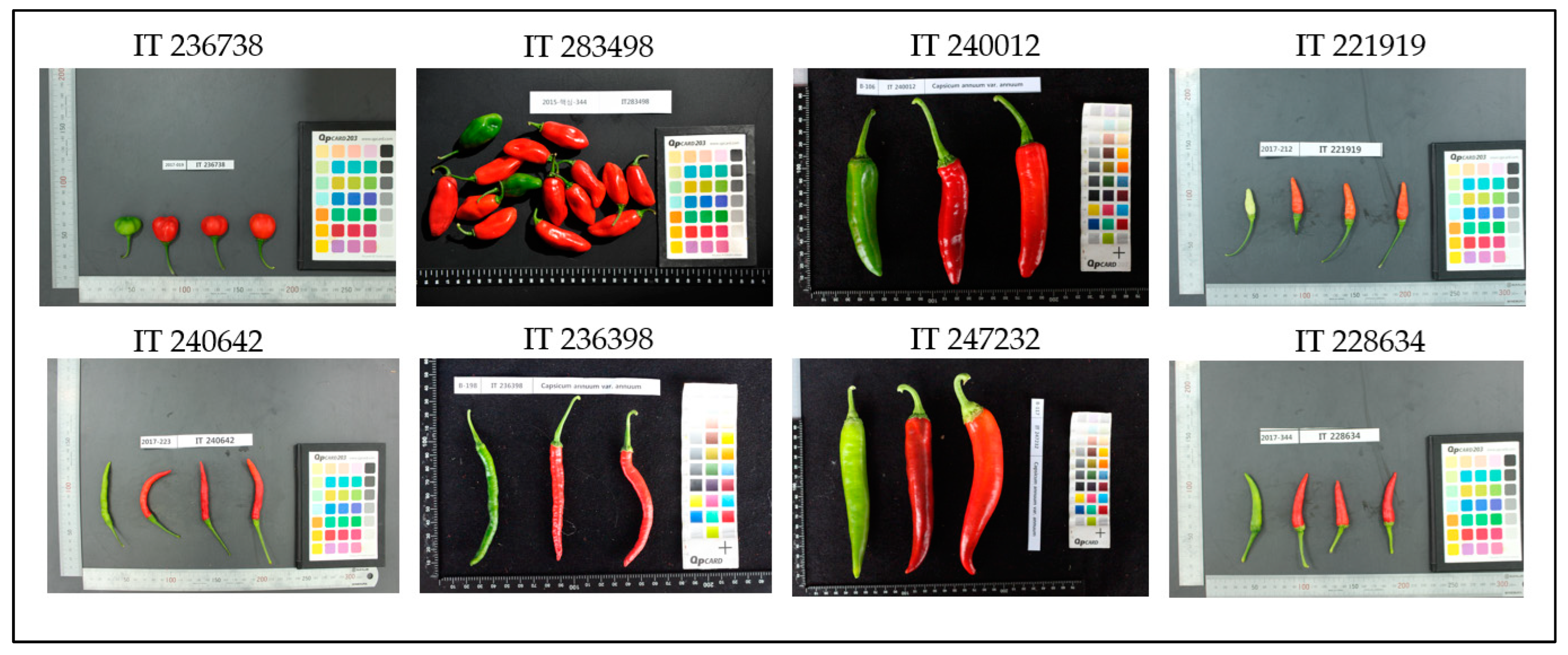 Agronomy 14 01753 g003