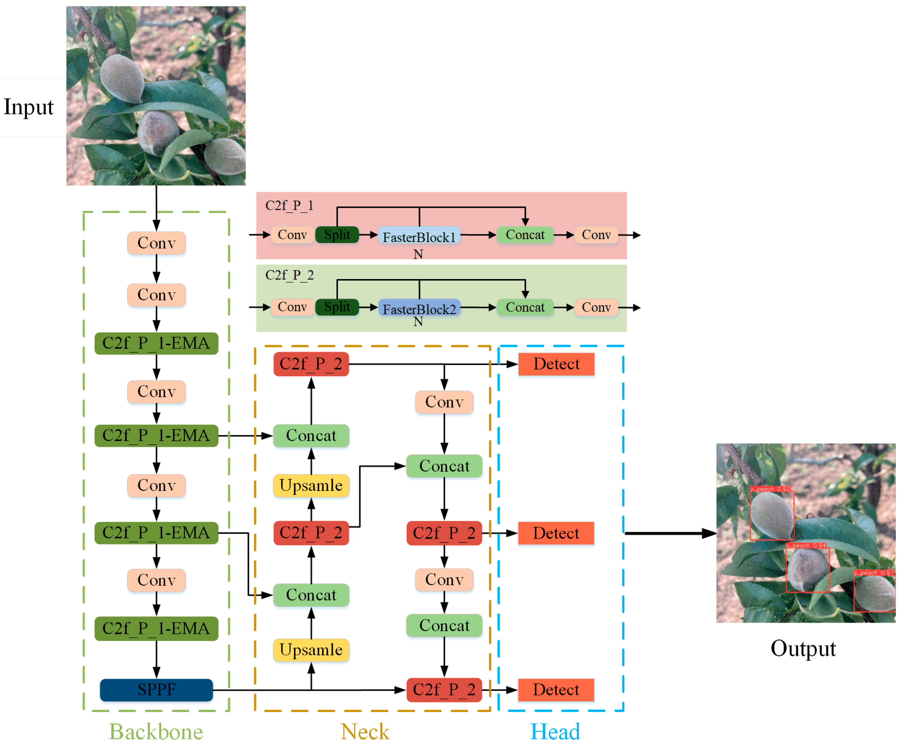 Agronomy 14 01757 g002