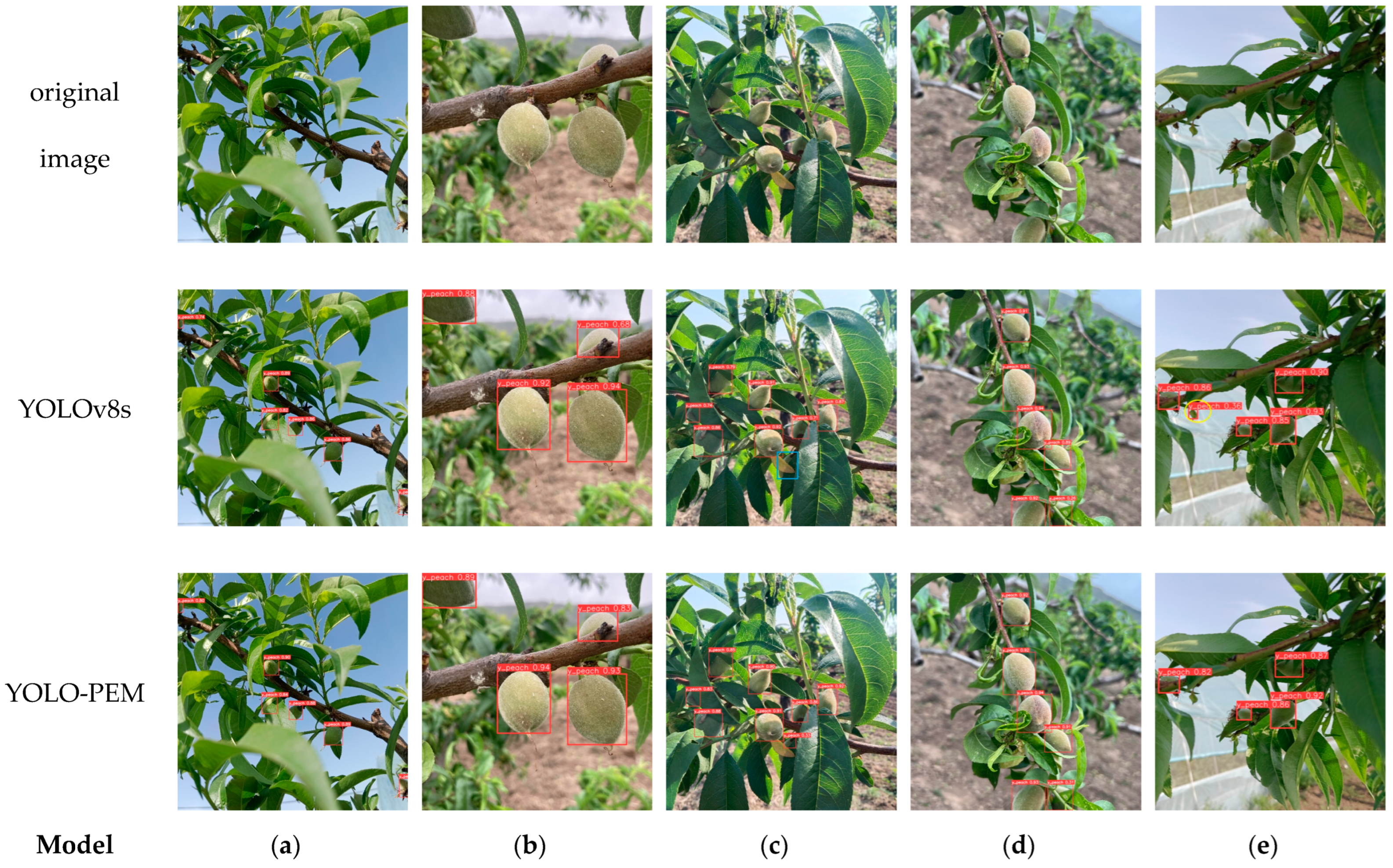 Agronomy 14 01757 g010