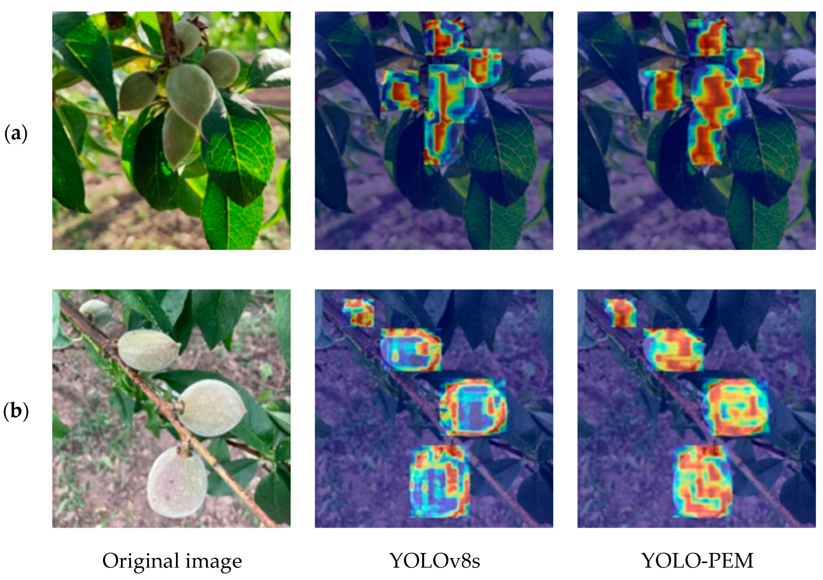 Agronomy 14 01757 g011
