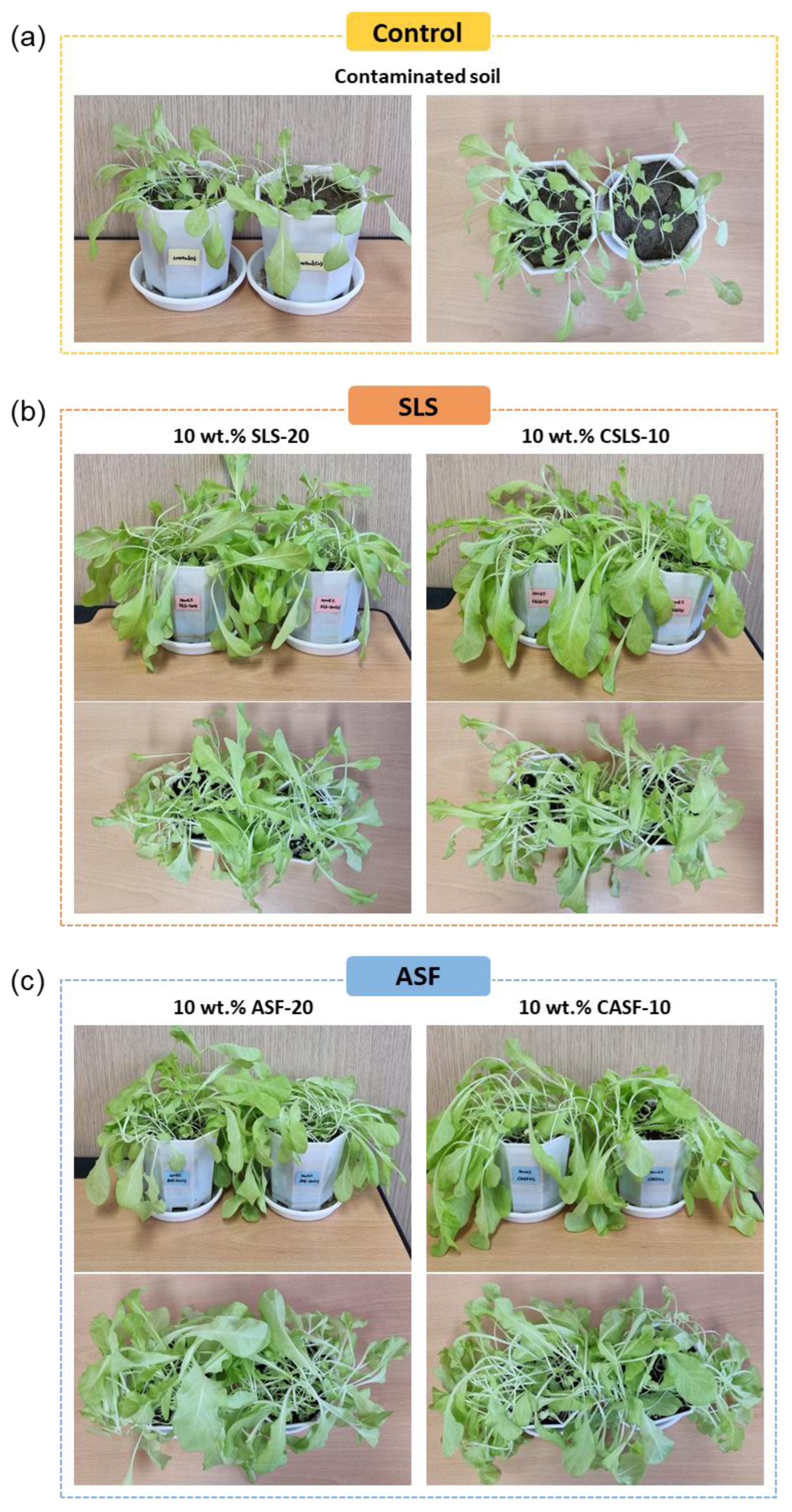 Agronomy 14 01781 g009 Agronomy 14 01781 g009