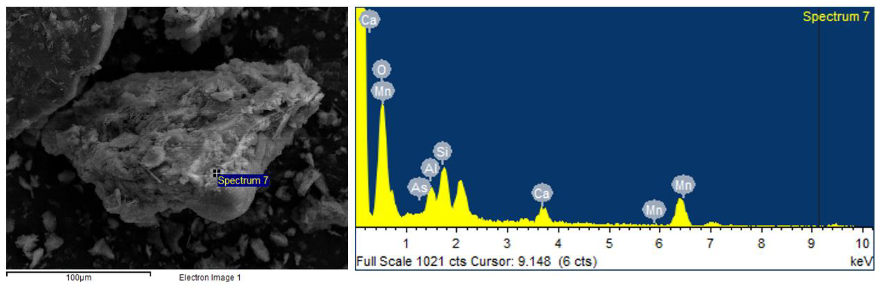Agronomy 14 01781 g010 Agronomy 14 01781 g010
