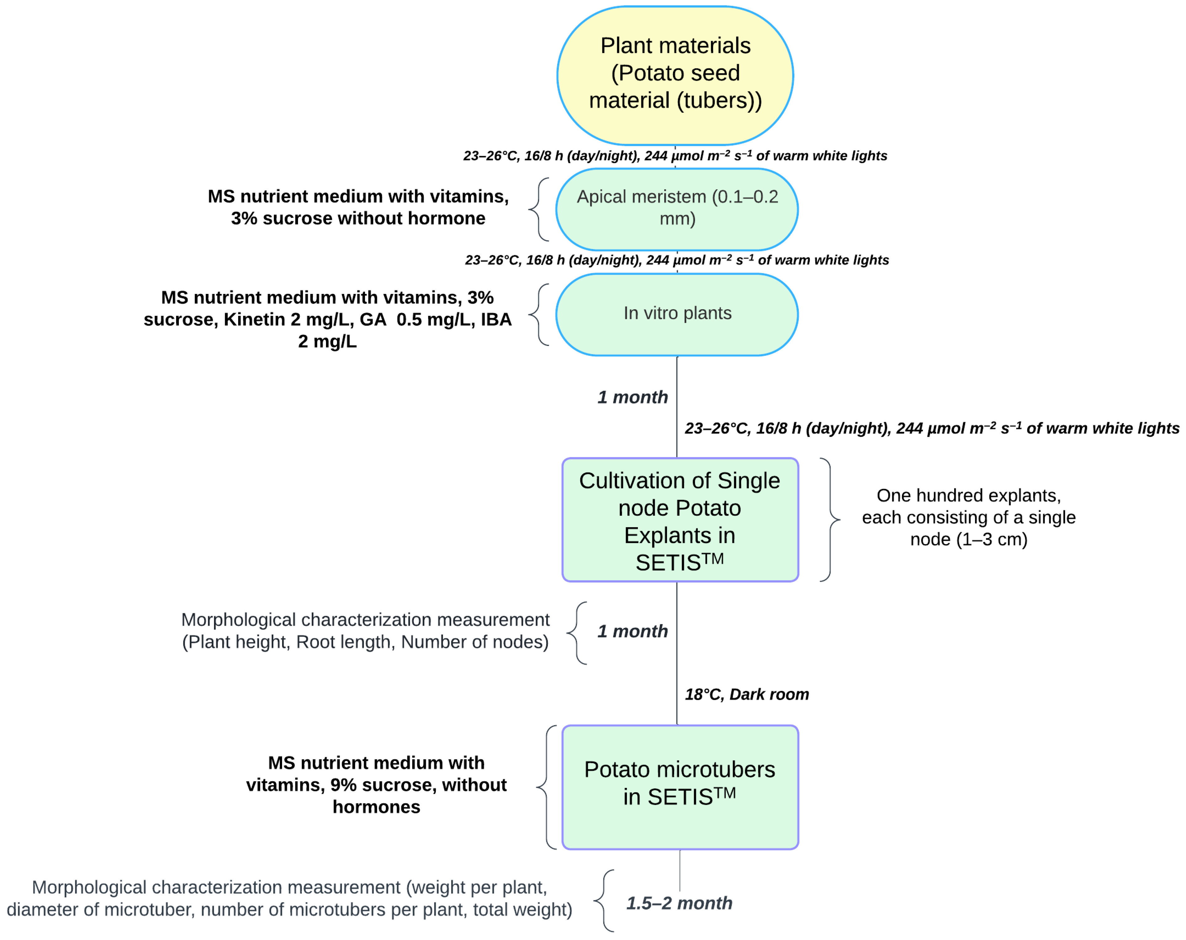 Agronomy 14 01782 g001 Agronomy 14 01782 g001