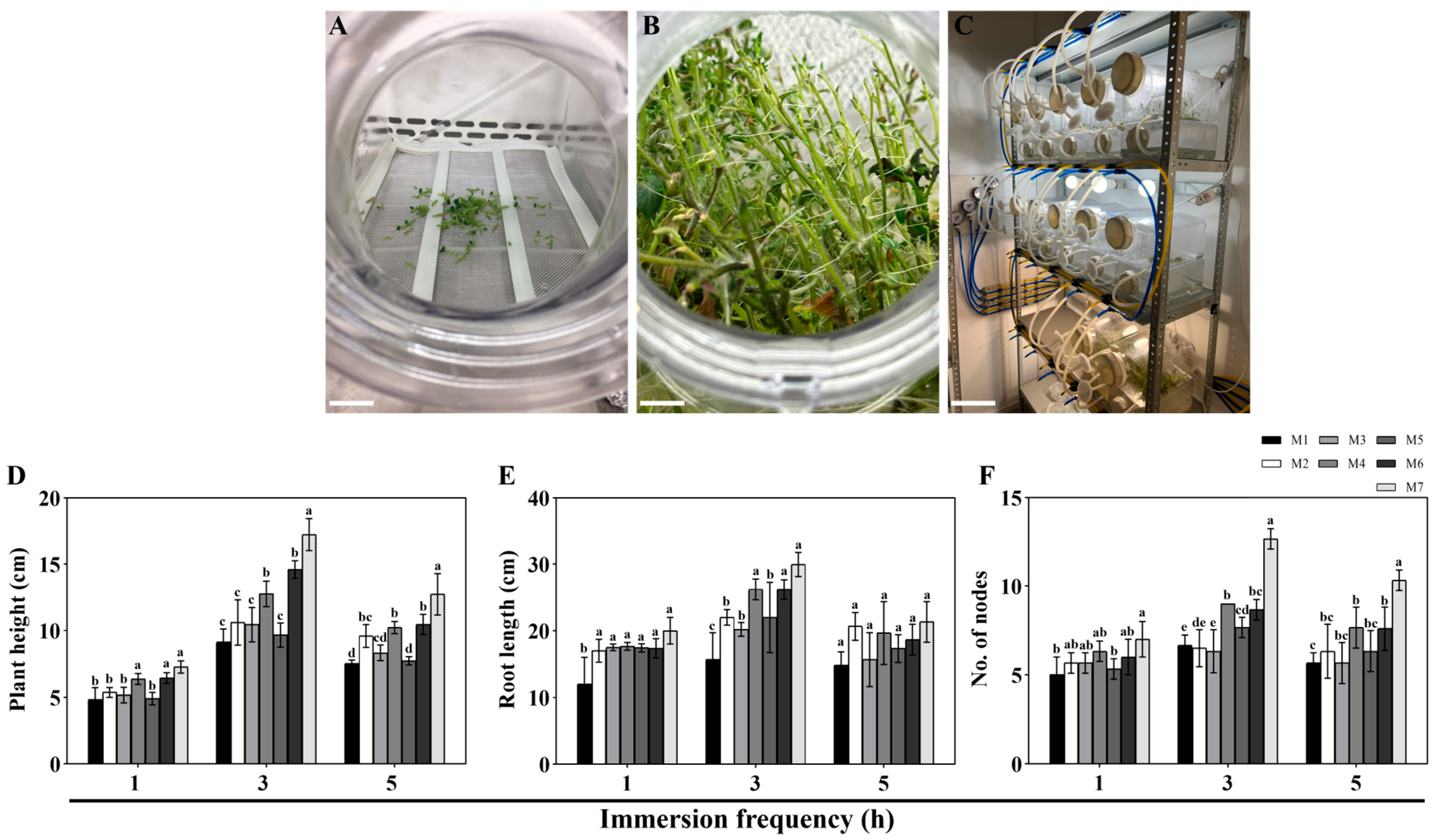 Agronomy 14 01782 g002 Agronomy 14 01782 g002