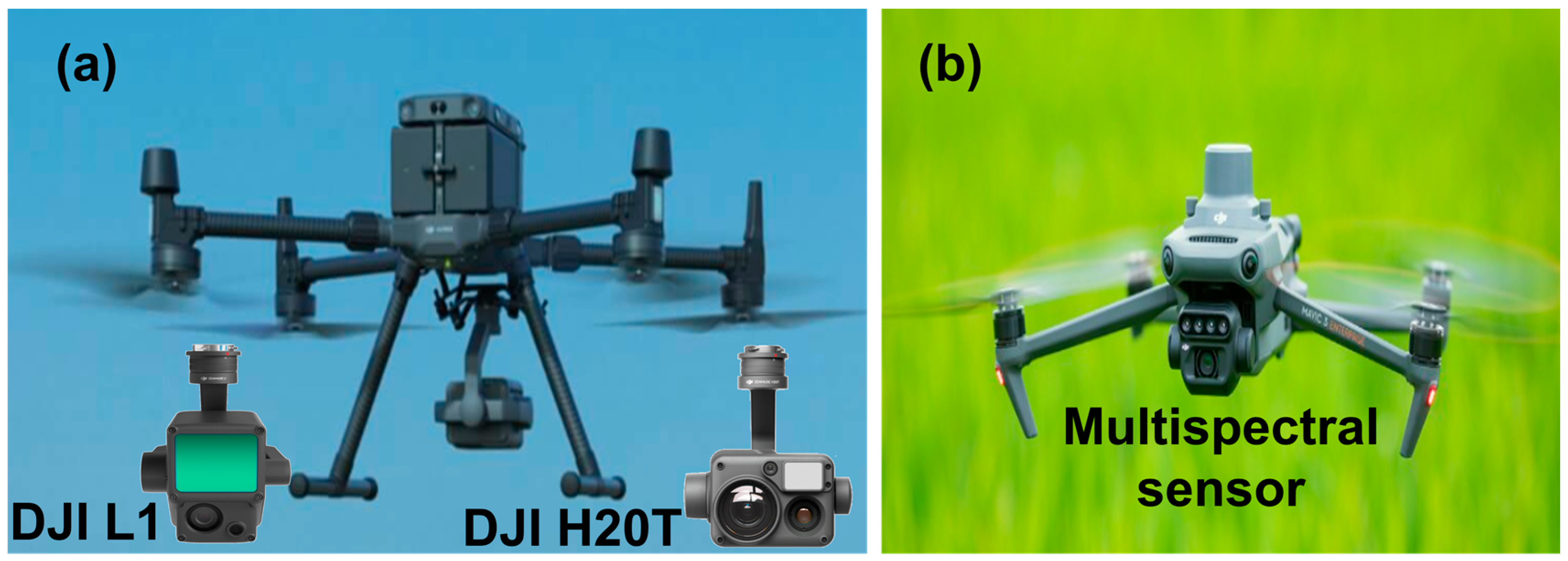 Agronomy 14 01783 g002 Agronomy 14 01783 g002